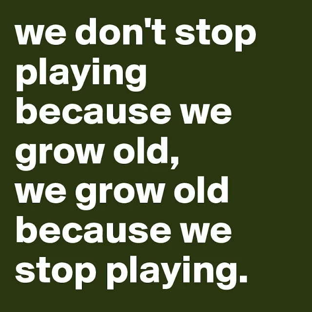 we-don-t-stop-playing-because-we-grow-old-we-grow.jpg