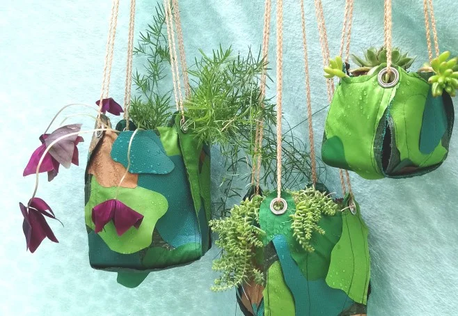 Plant hangers landscape.jpg