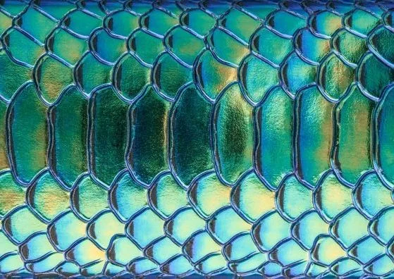 Dragon Eggs.jpg