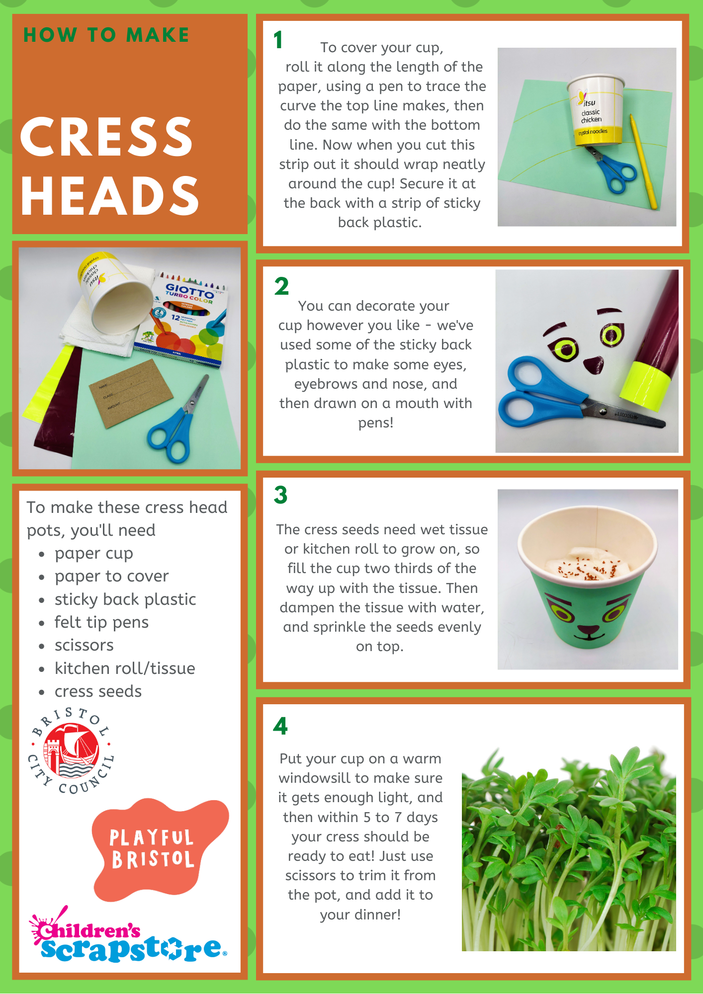 Cress Heads Craft Sheet