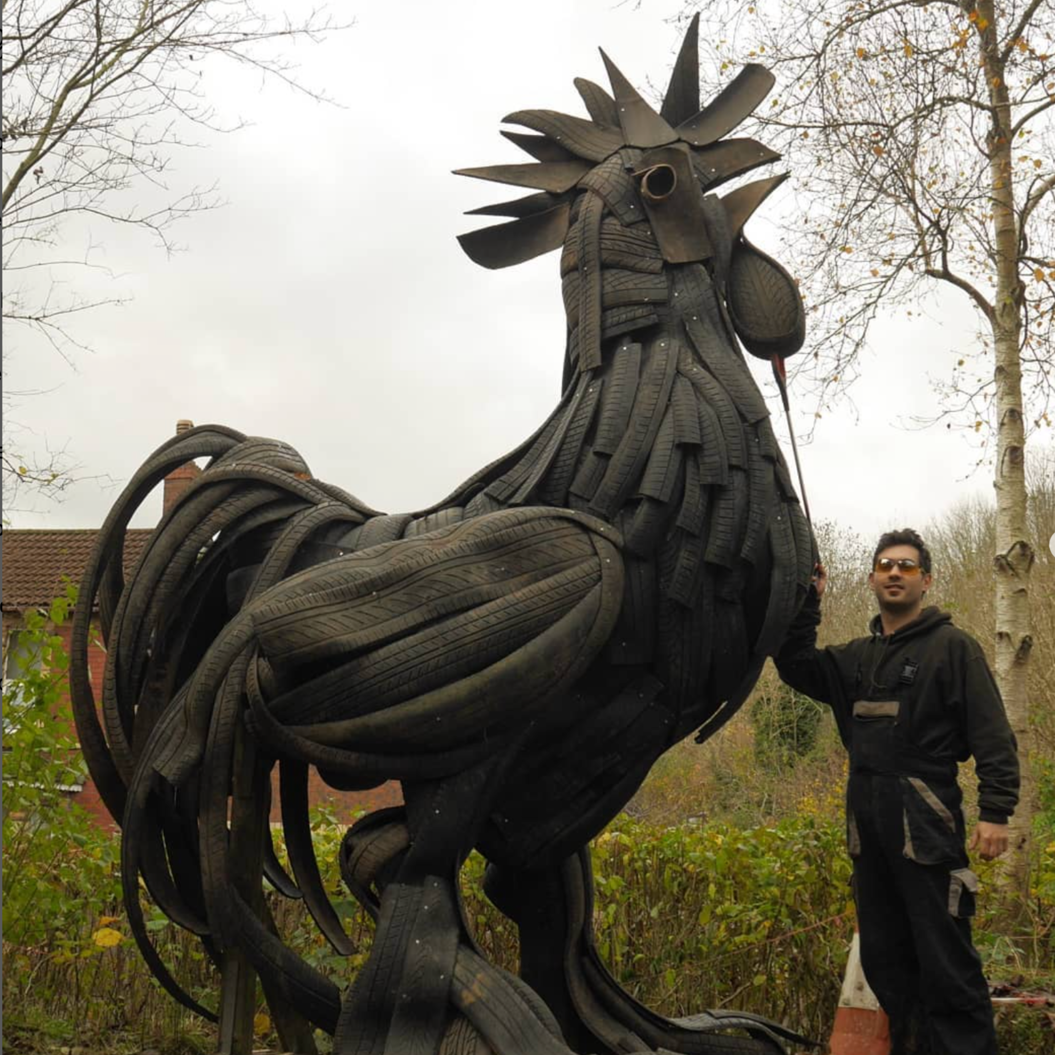 Szabi and His Rooster