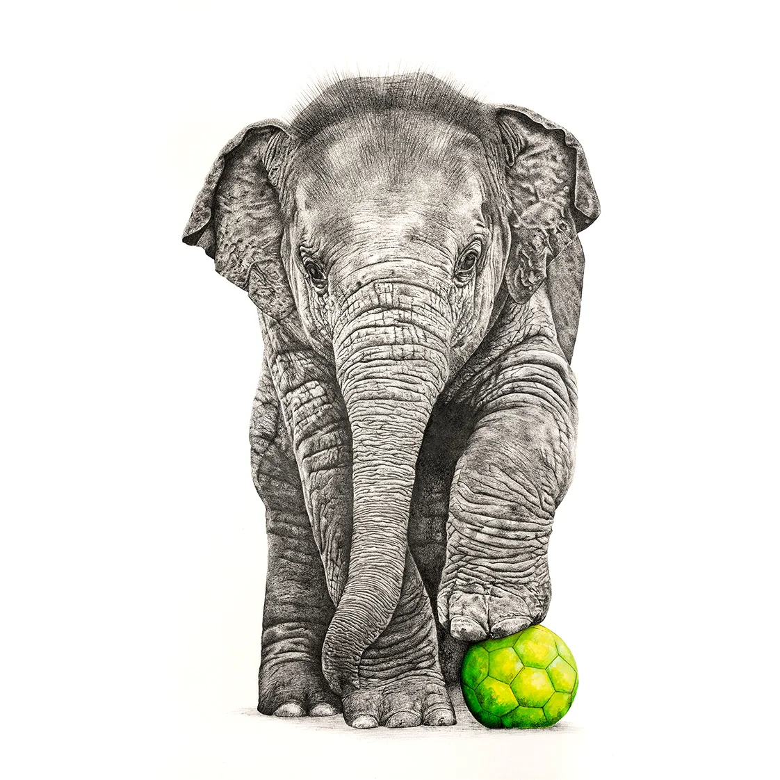 Playtime Elephant. Original Sold. Prints Available.