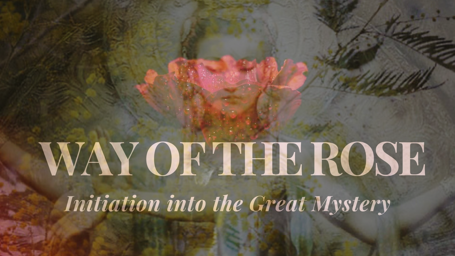 The Way of the Rose