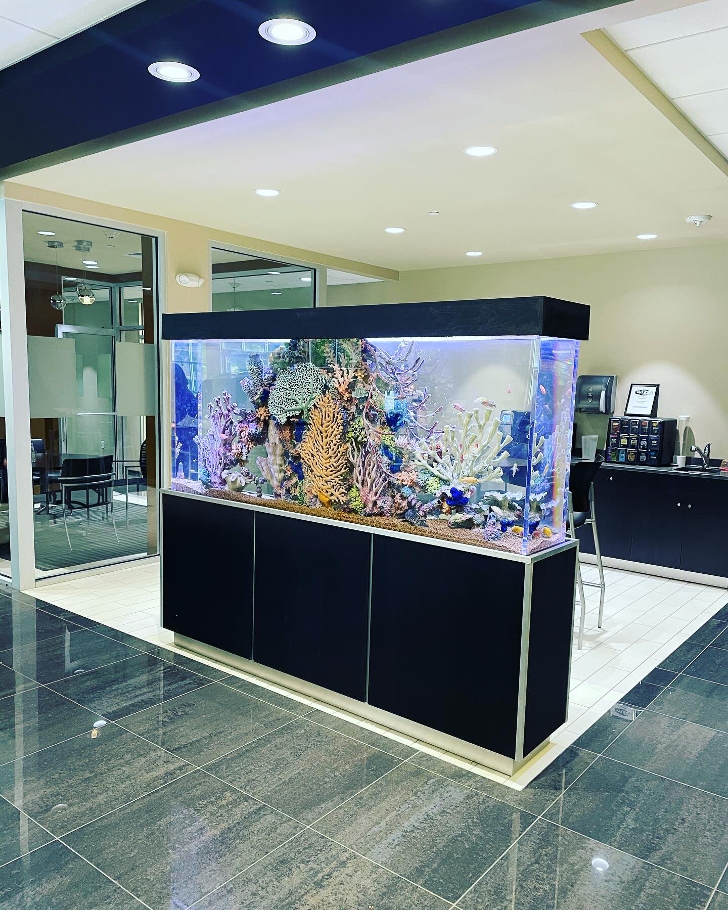 Custom 360 Degree Walkaround Aquarium