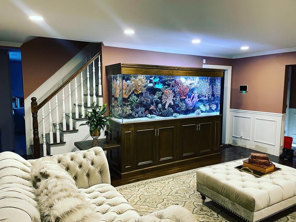 custom aquariums hawaii