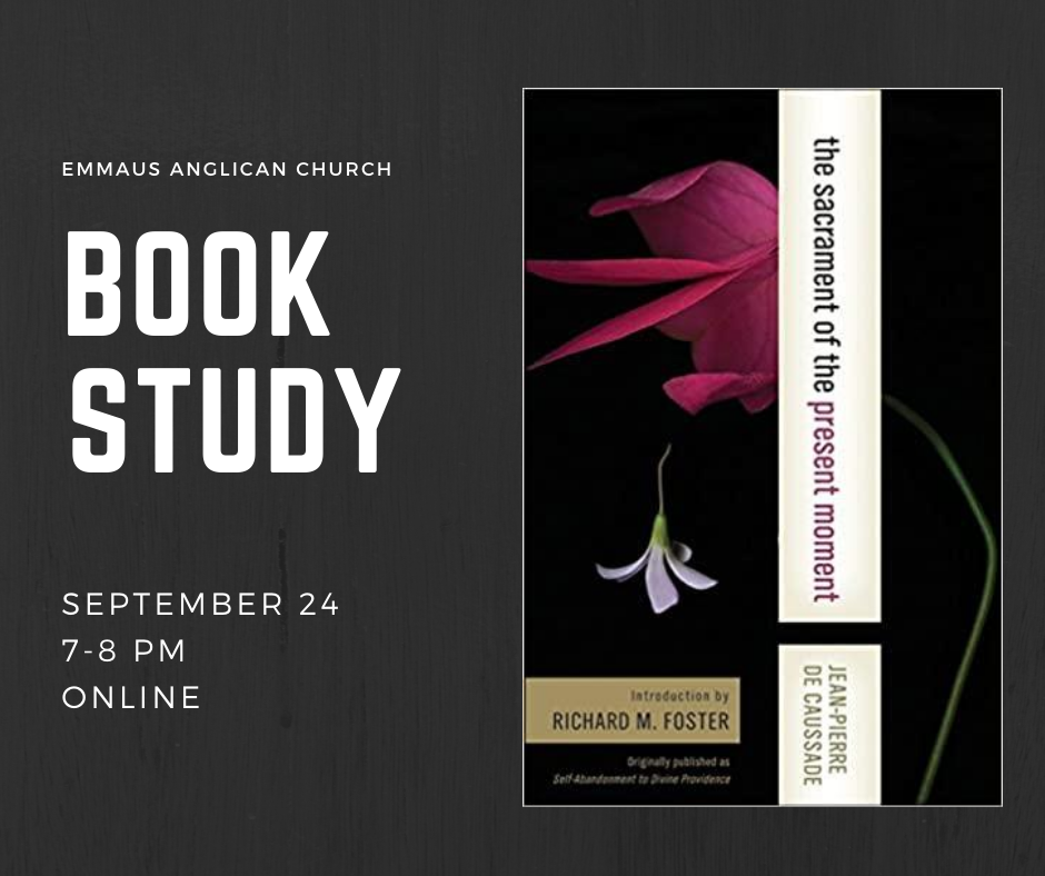 Congregational Book Study