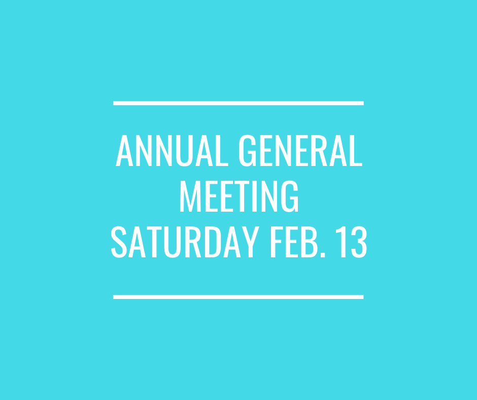 Annual General Meeting