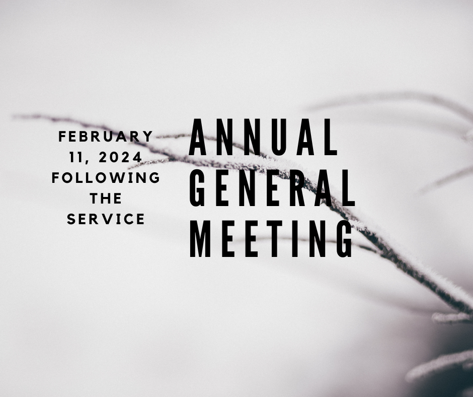 Annual General Meeting