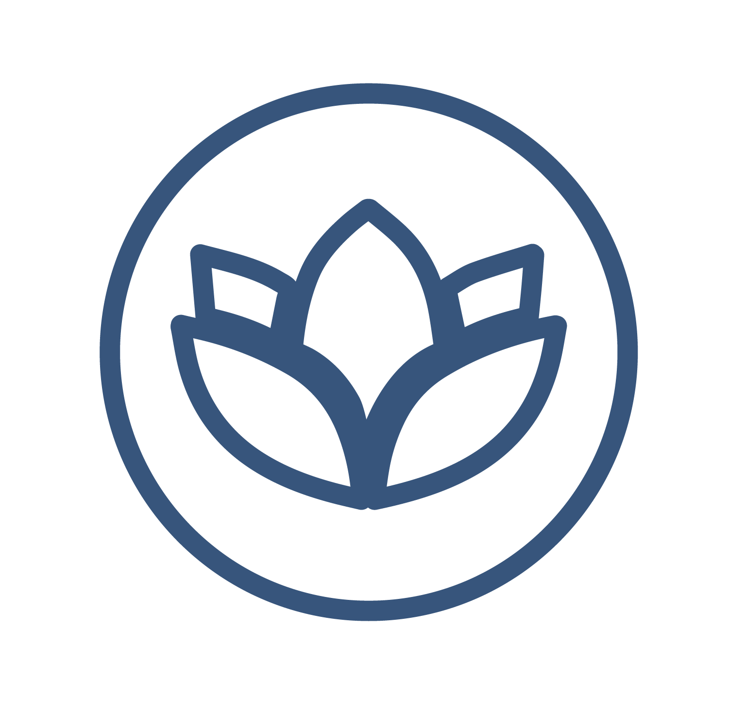 bkwl-service-icons-navy-wellness.png