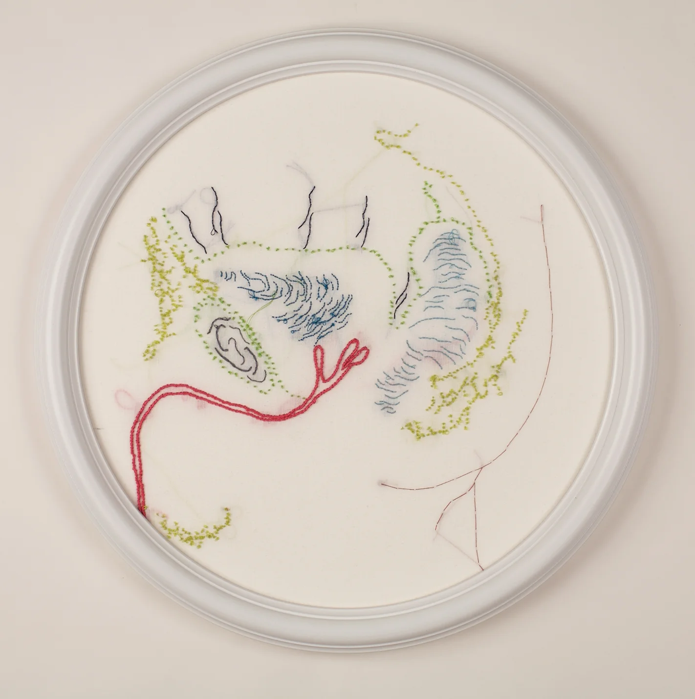 Genitalia masculina, 2008