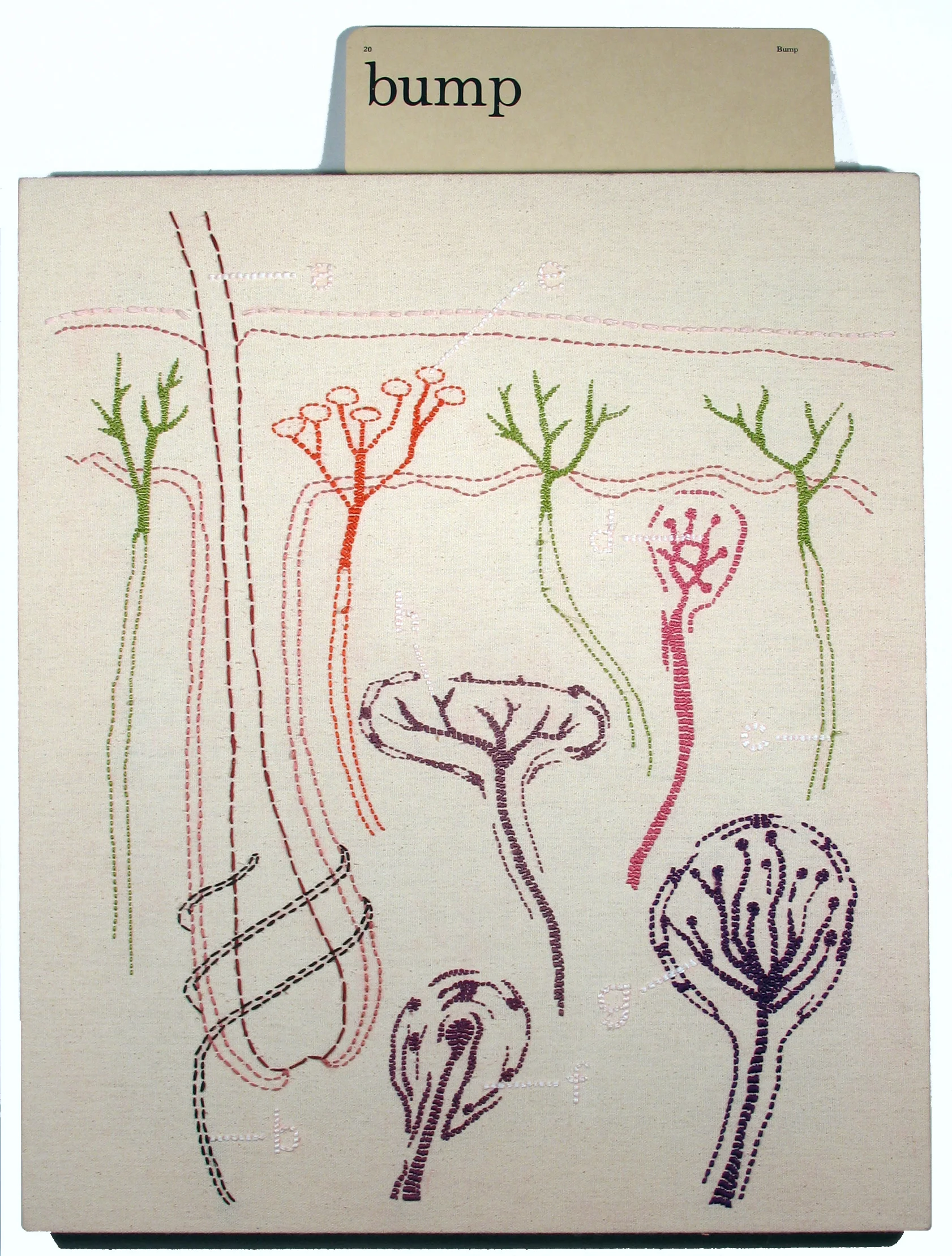 Bump (the sense of touch), 2005