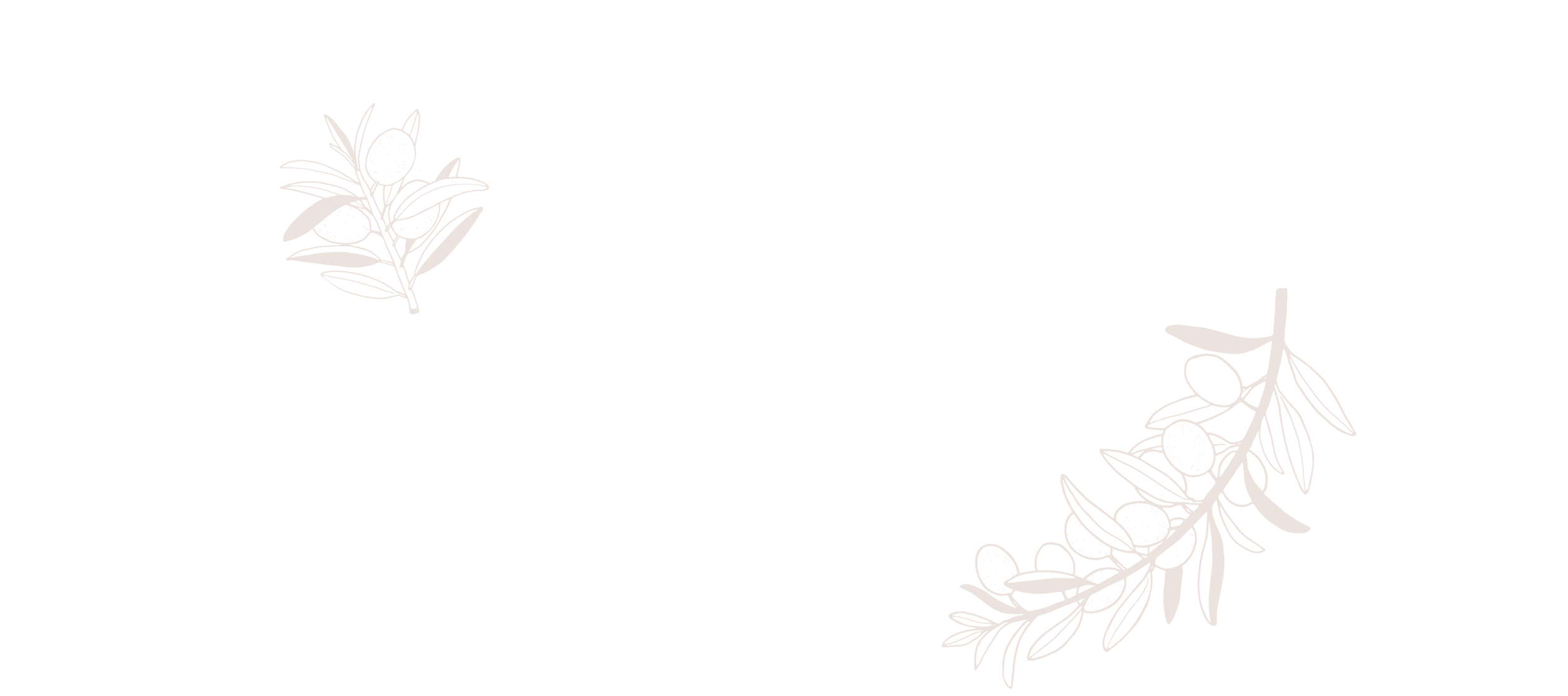 Katie-marshall-Wellness-background-insta-06.png