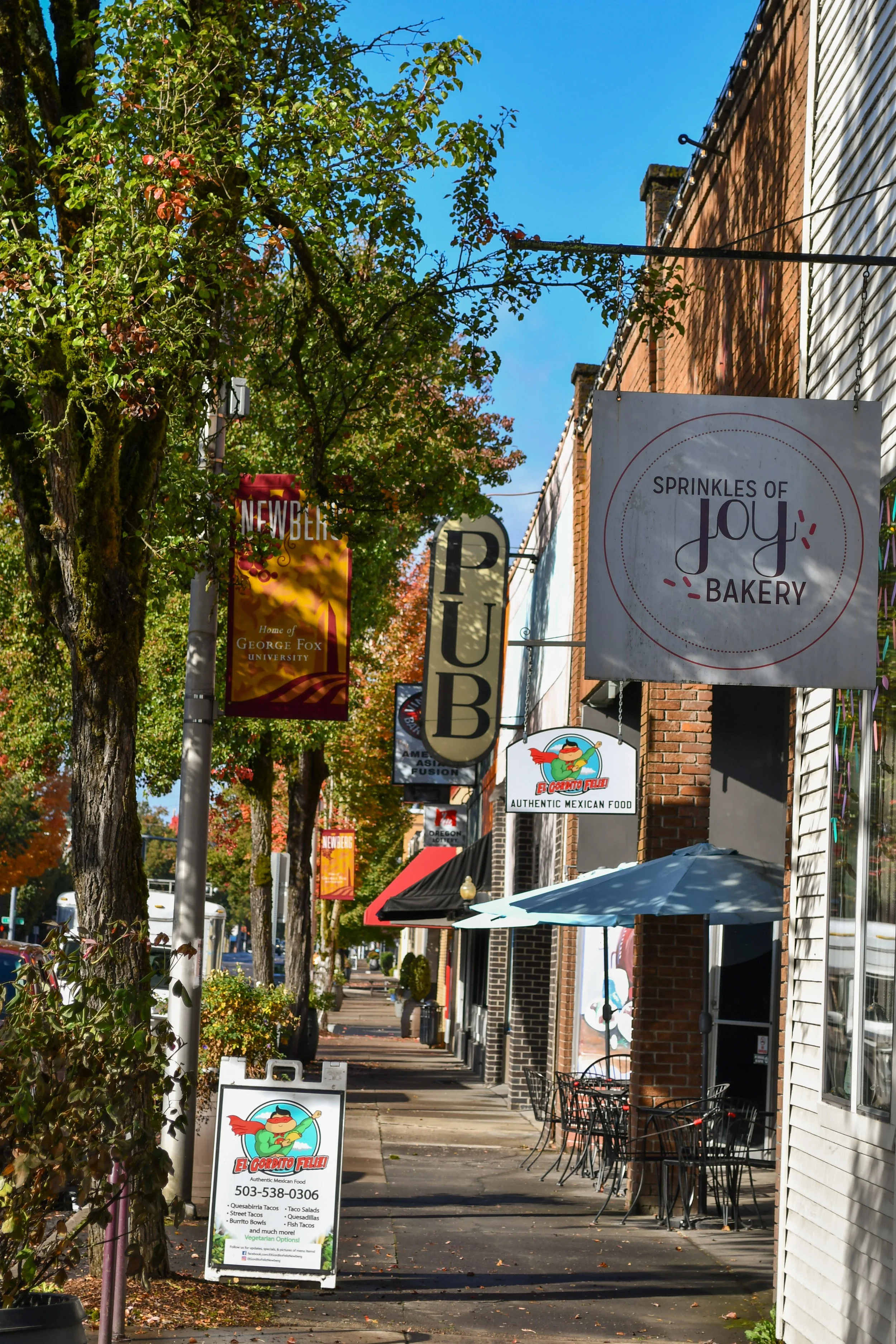 Newberg Point of View