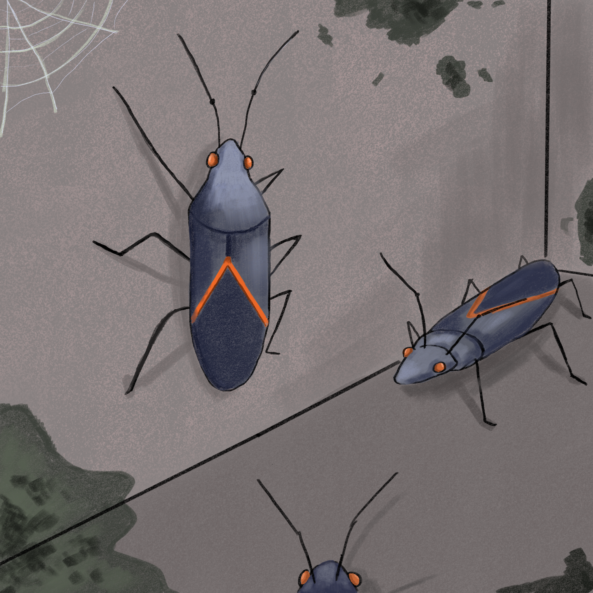 Mold, Among Other Things…