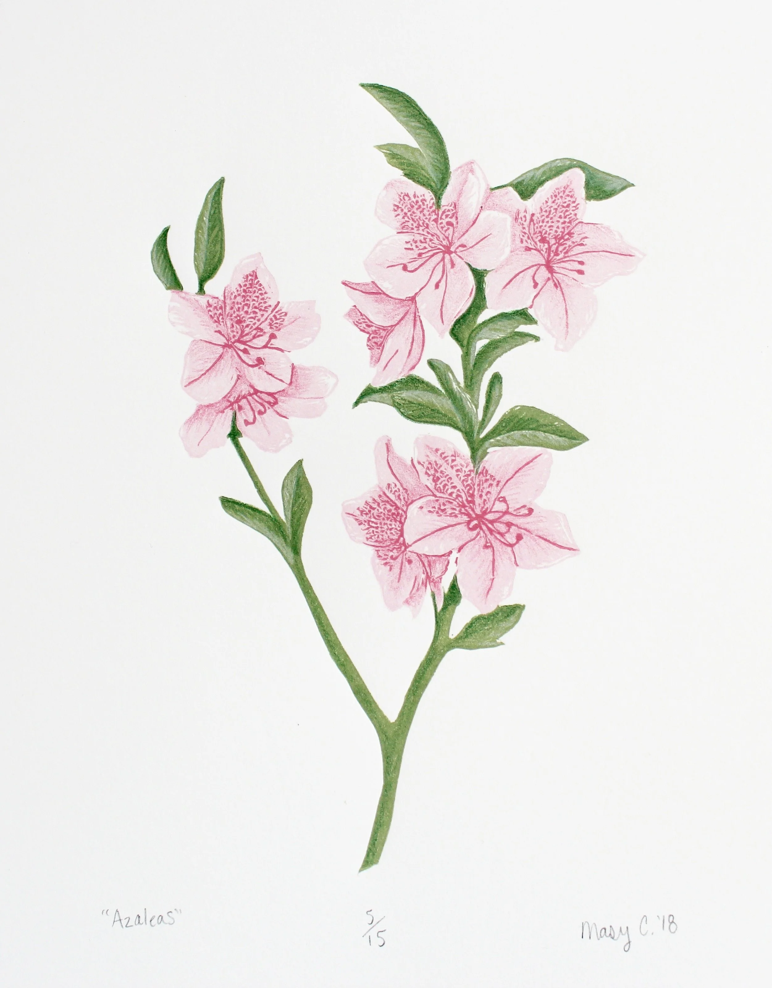 Louisiana Azaleas Original Block Print