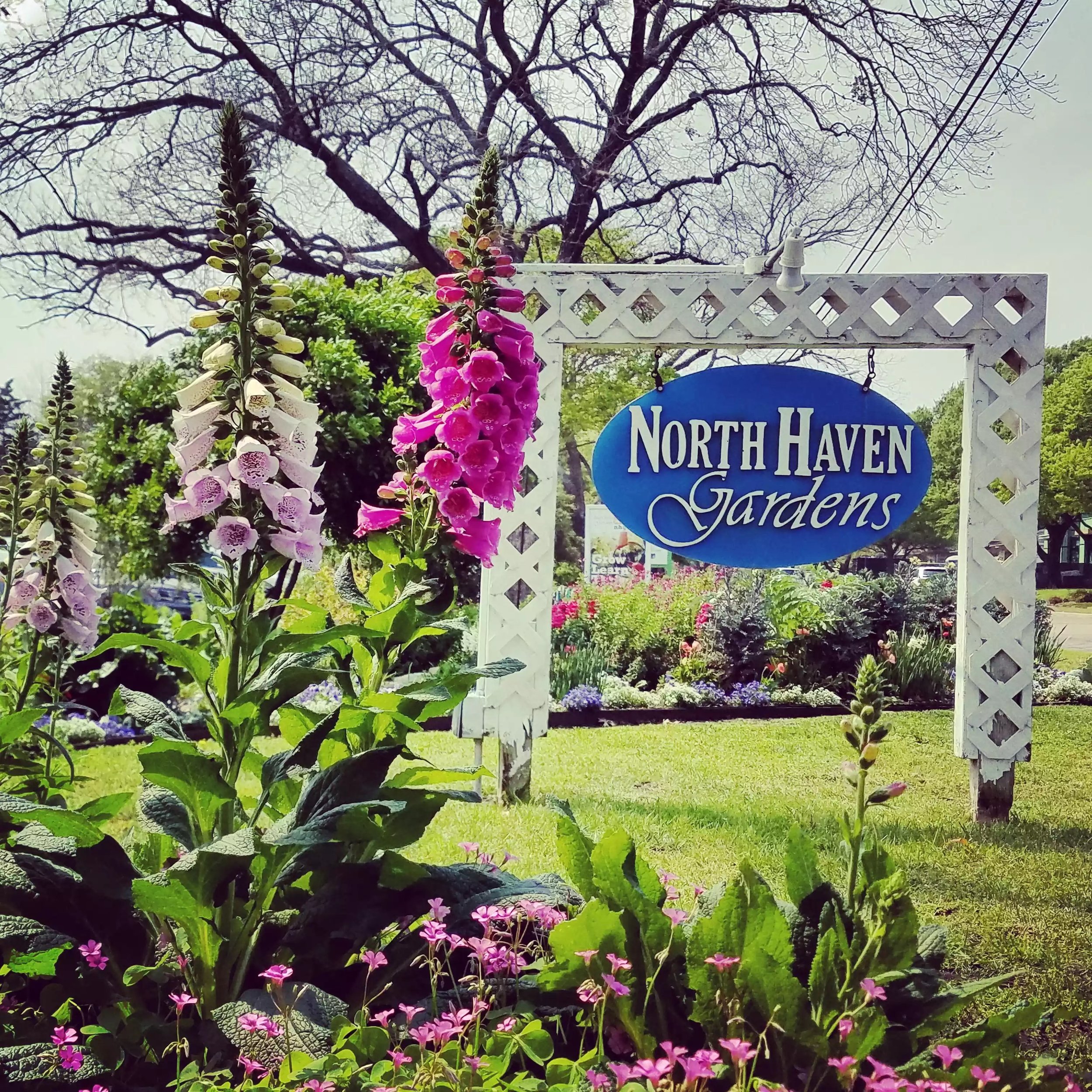 North Haven Gardens