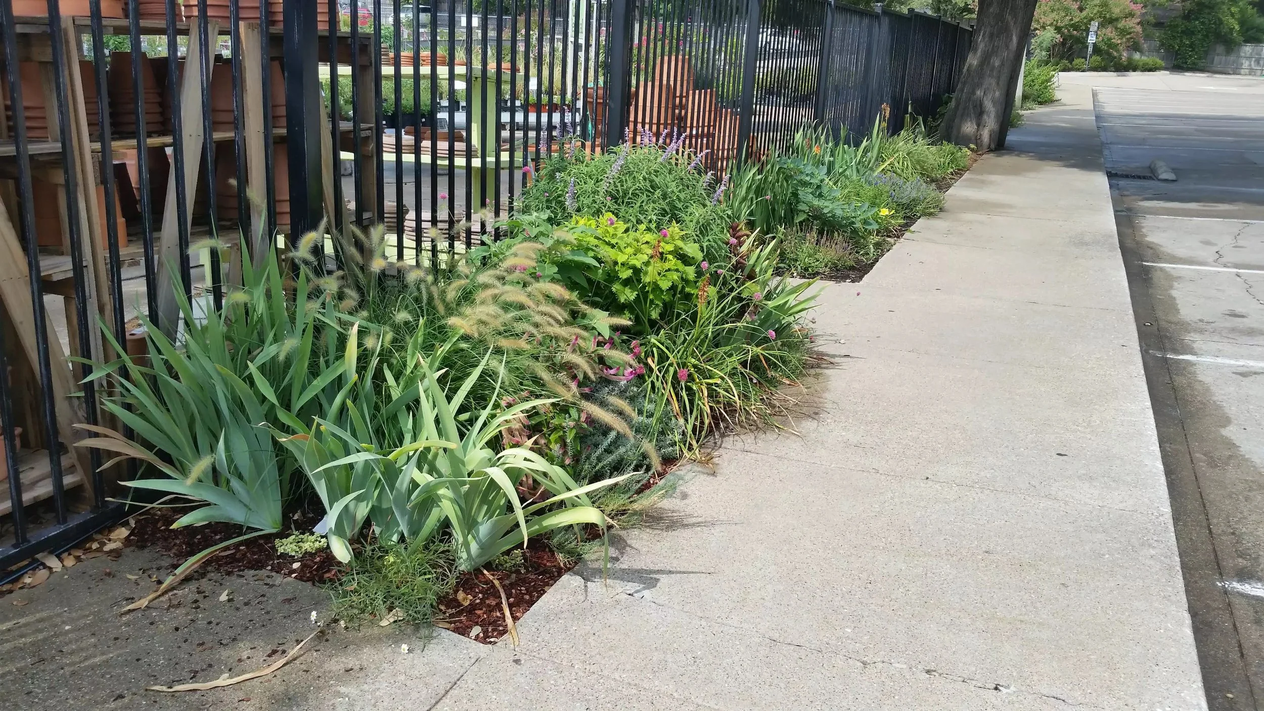 image-17306.jpeg