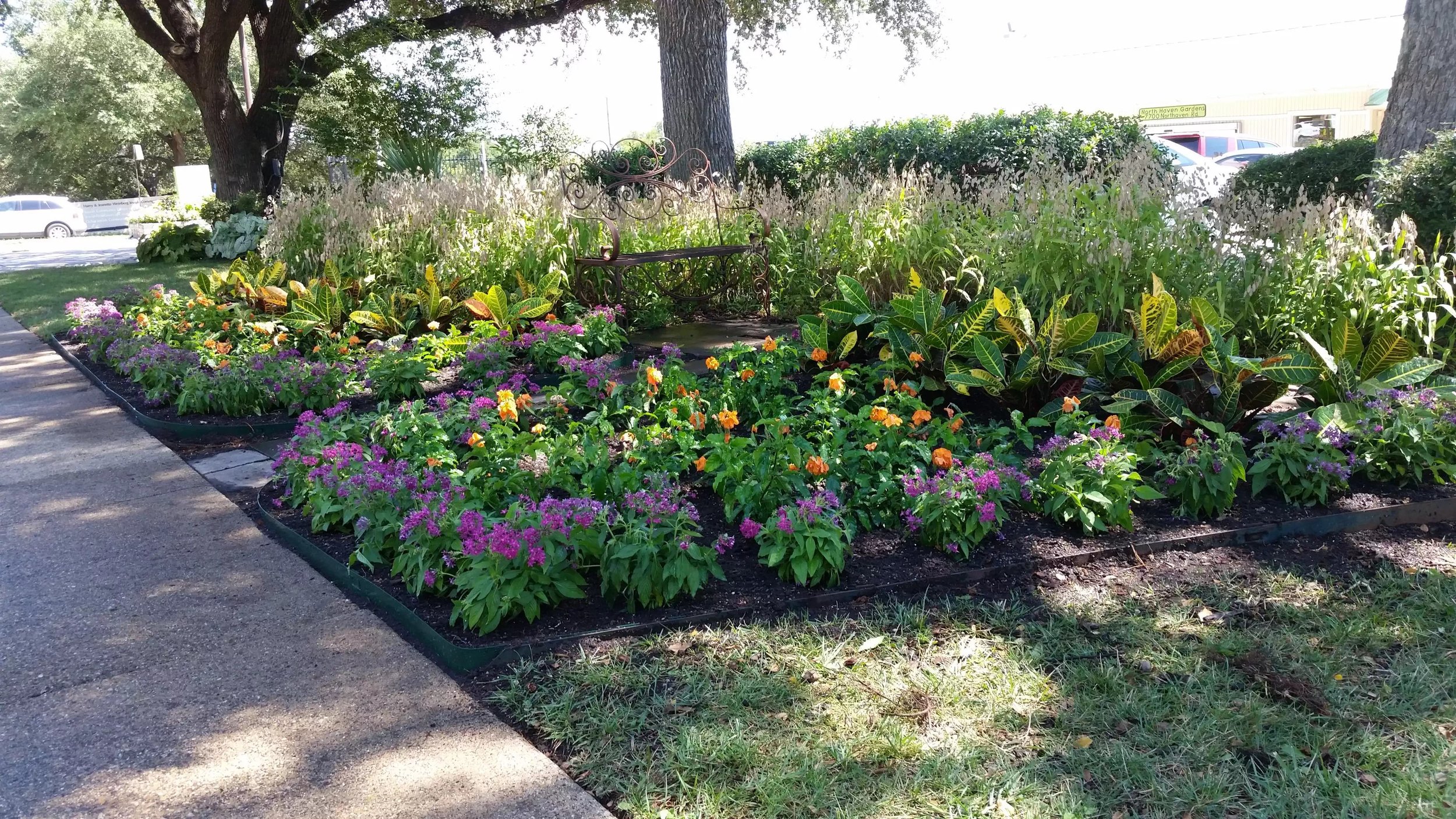 image-17907.jpeg