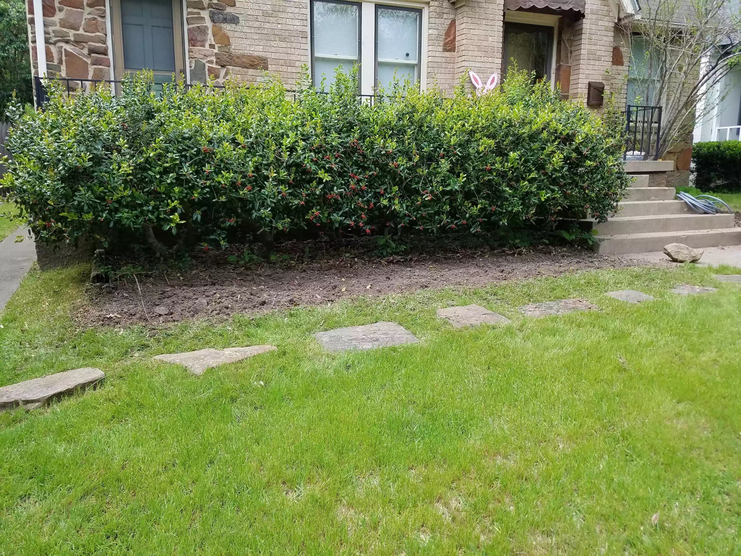 image-3875.jpeg