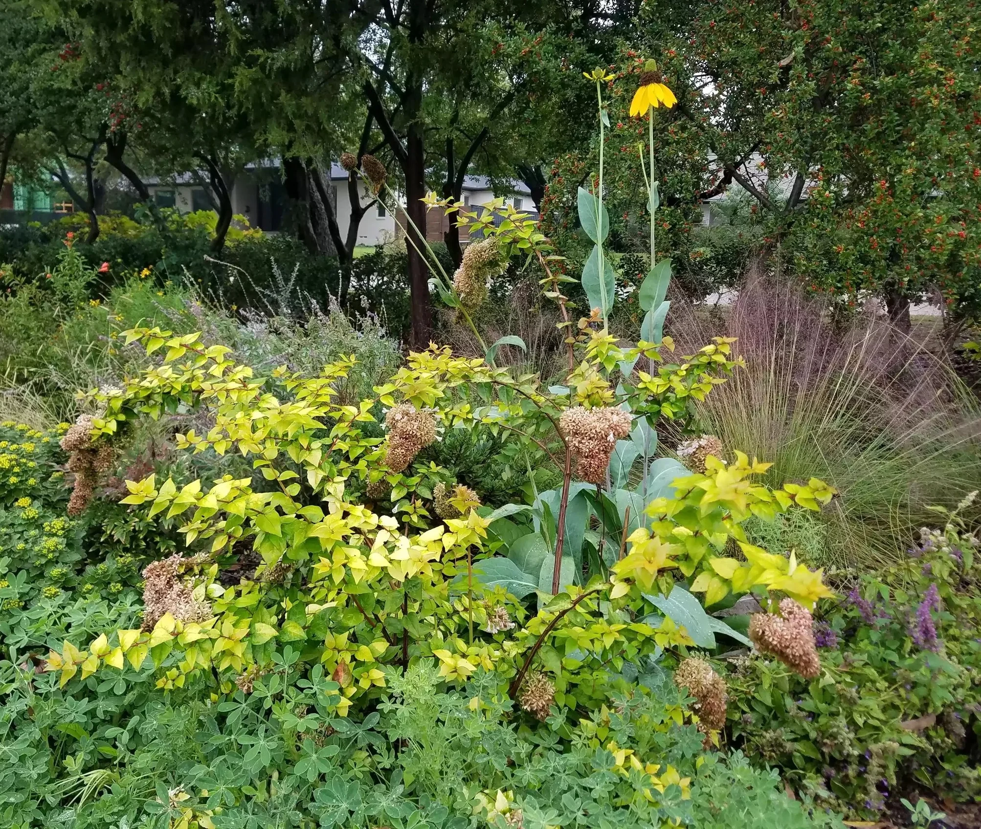 SMALL LANDSCAPE & GARDEN ENHANCEMENT