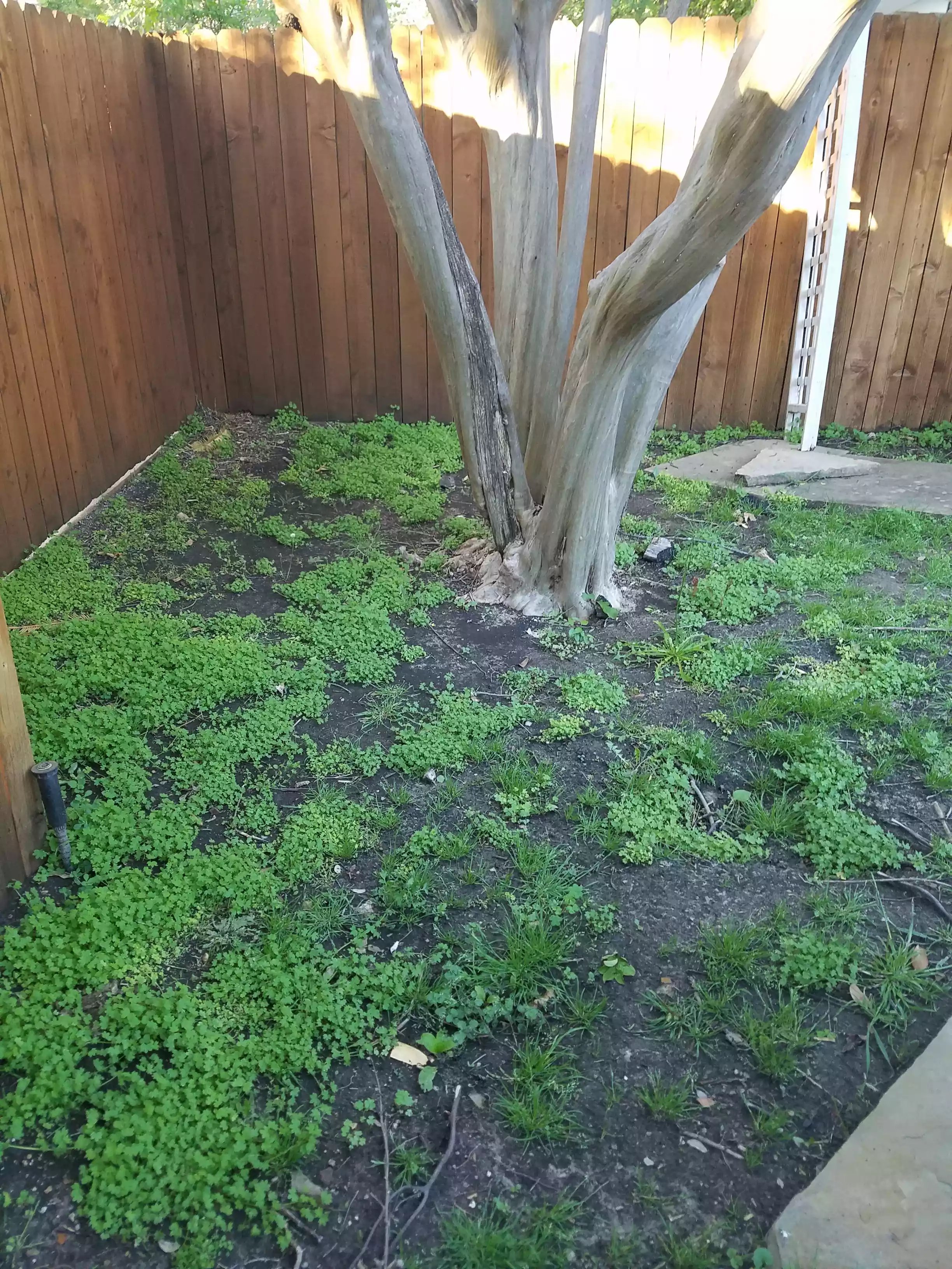 image-3426.jpeg