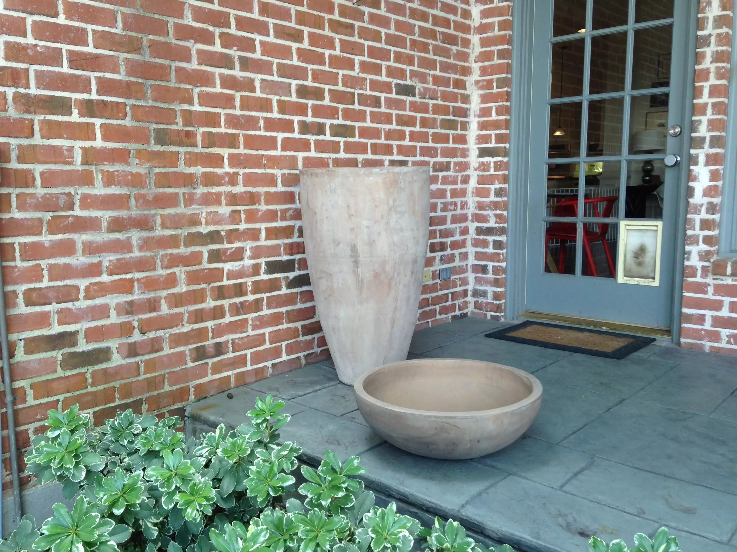image-18369.jpeg