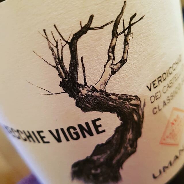 Some (great) things never change 😊🌍 #winelover #wine #future #marken #umanironchi #verdicchio #trebicchieri #drinkwine #sophienwald #organicwine #bio #sarowines #stayhome