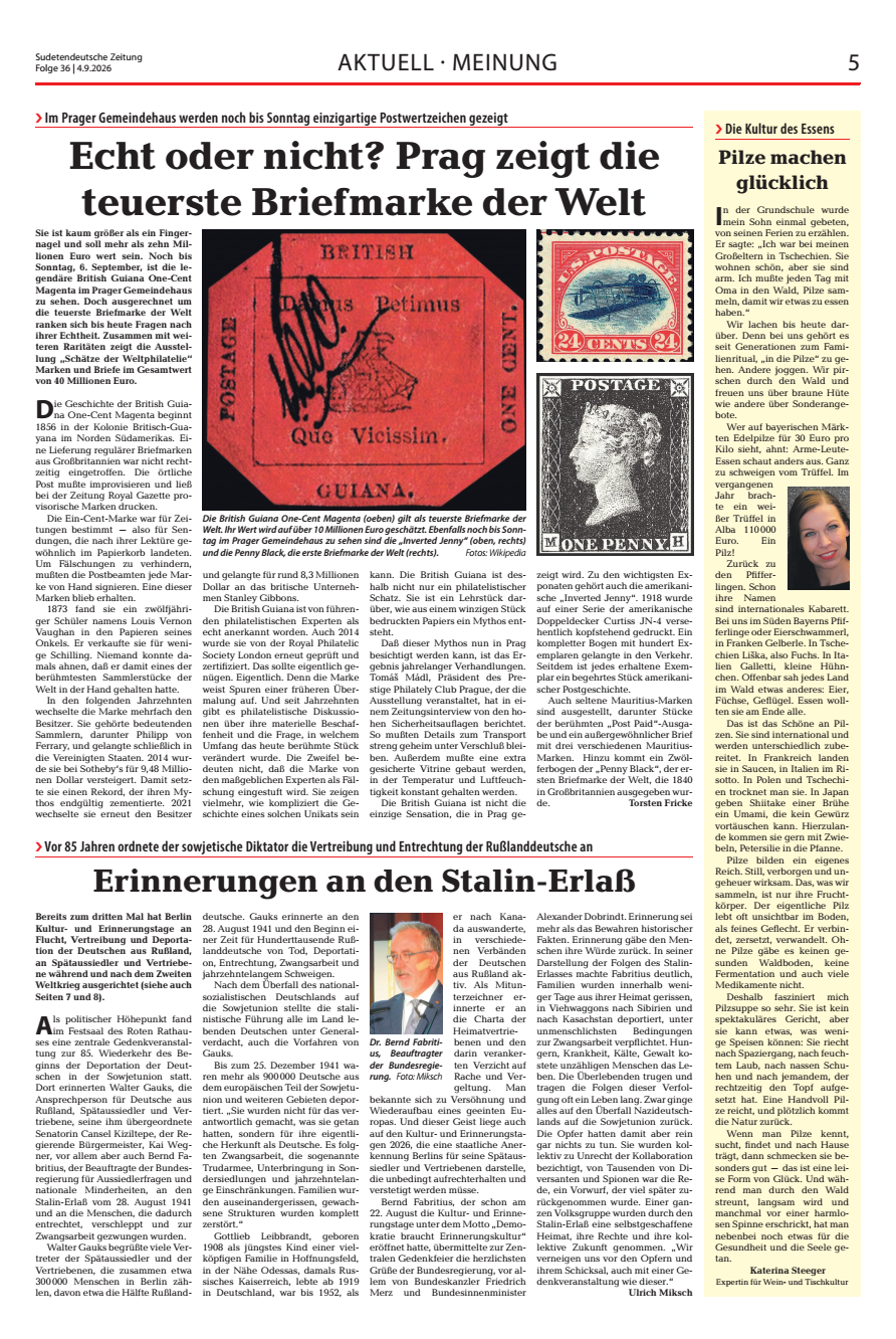Kolumne Pilze machen glücklich