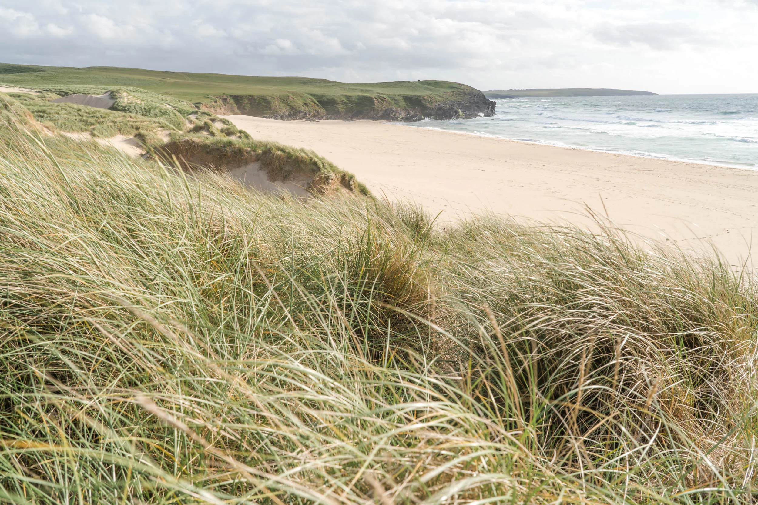 Dail-Mor-07278.jpg