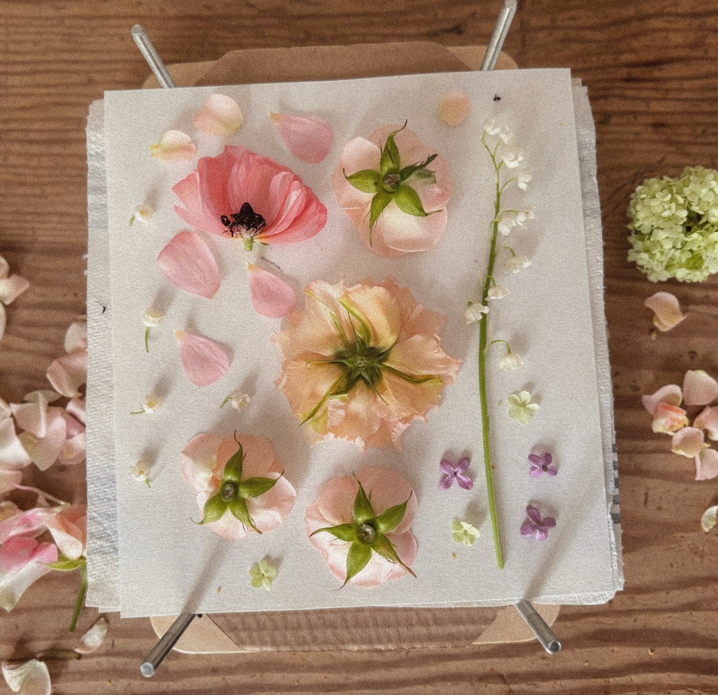 Exploring the art of pressing flowers has become a cherished pastime, enabling me to capture the beauty of nature in its delicate forms. I&rsquo;m honoured to extend this passion into crafting bespoke commissions exclusively for my couples, preservin