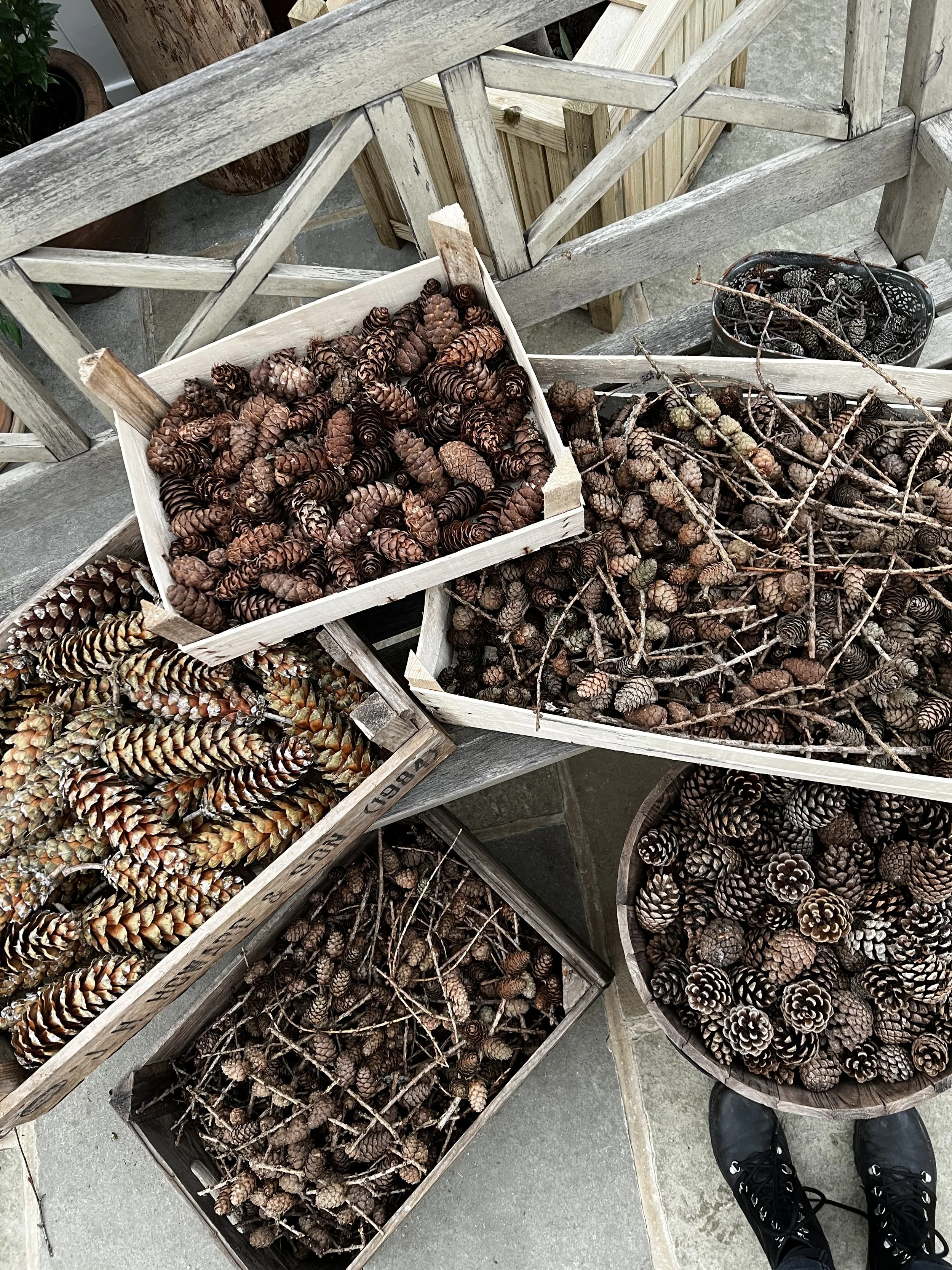Various pinecones in wooden baskets and on the ground, wooden railing, outdoor concrete surface, person's black sneakers with white laces at the bottom. Winter ingredients for our christmas wreath workshops in North norfolk