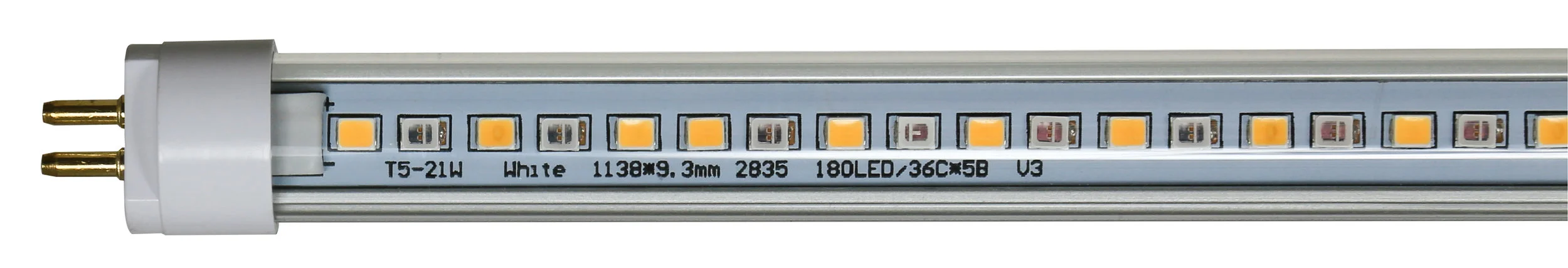 901449-03.jpg