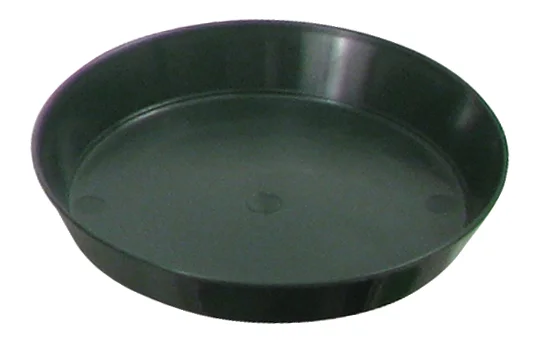 724900-01.jpg