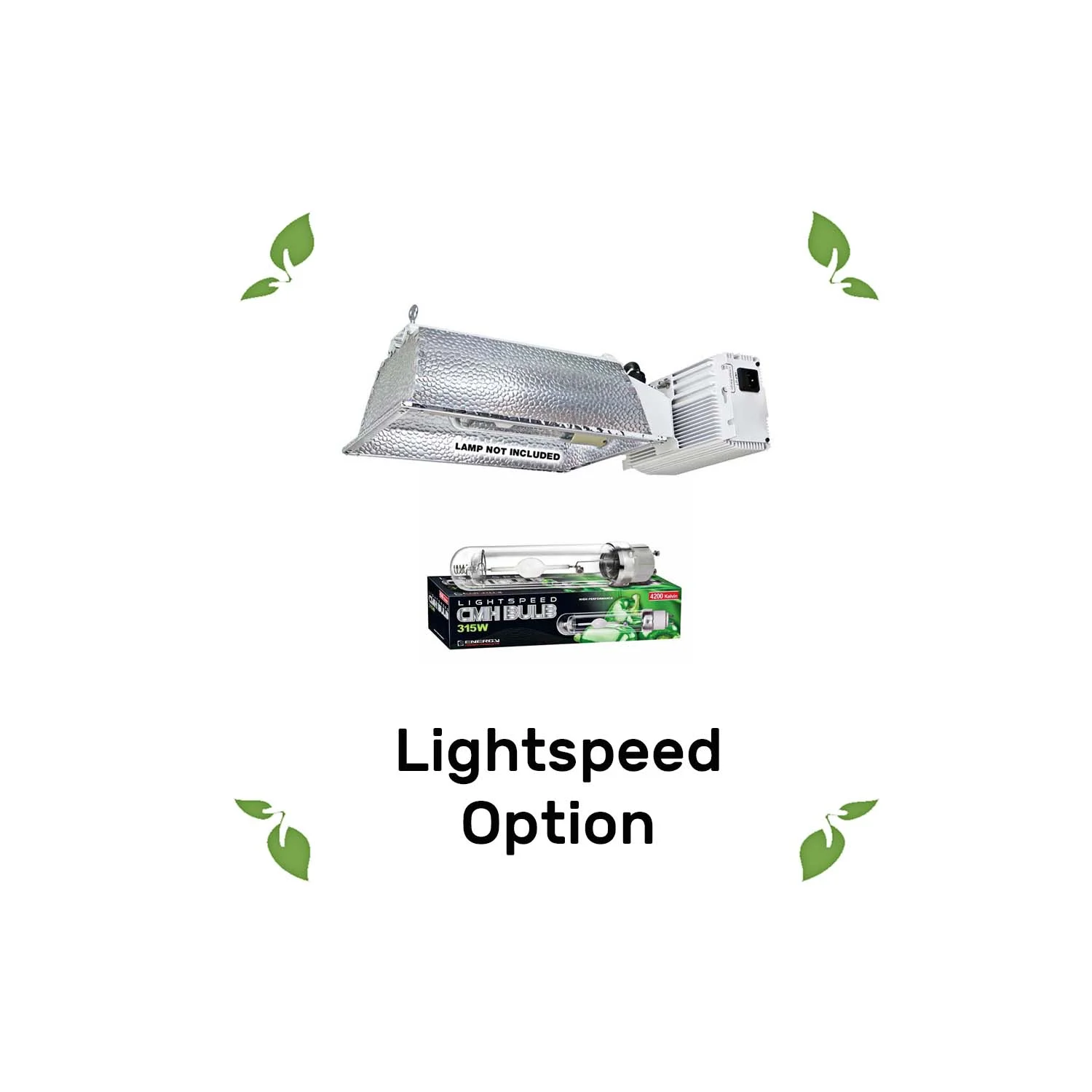 Lightspeed.jpg
