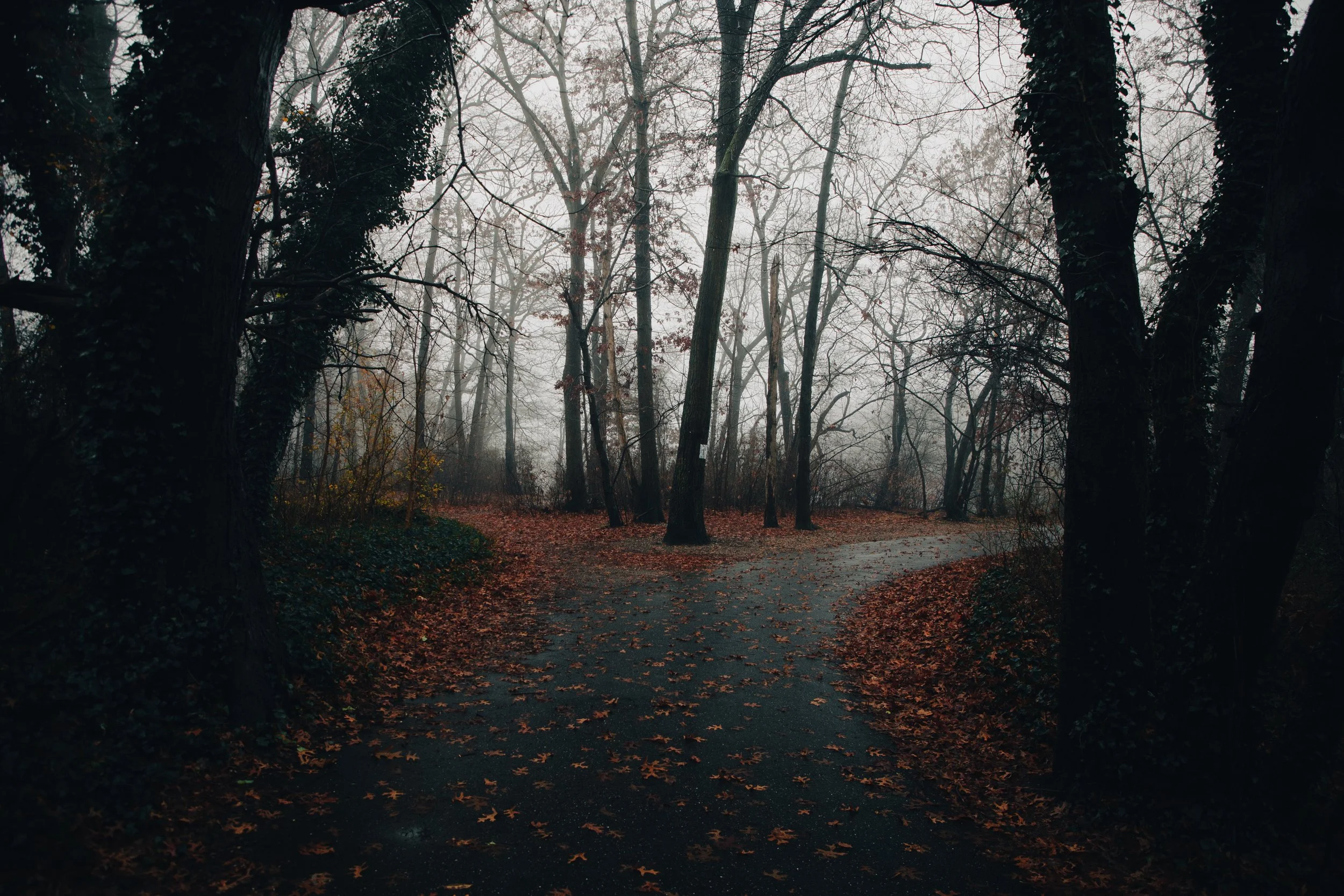 untitled-4519.jpg