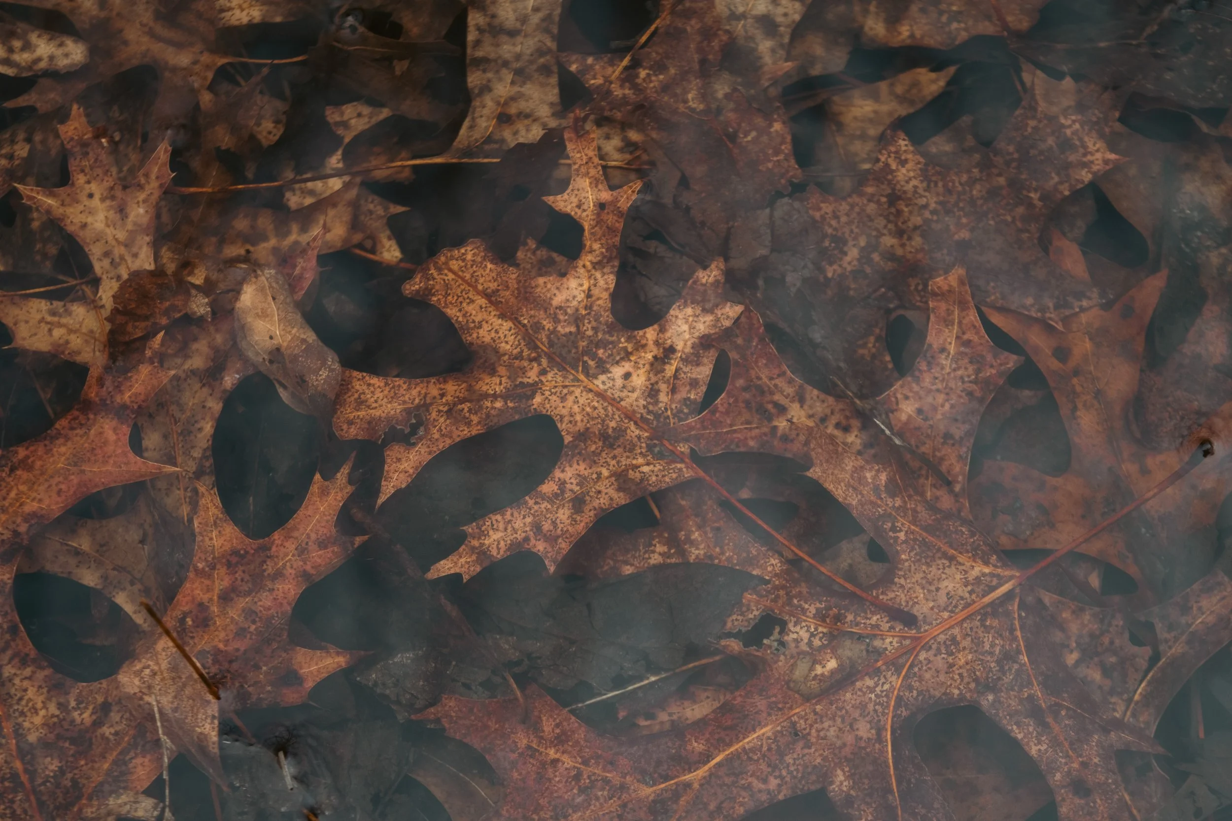 untitled-1438.jpg