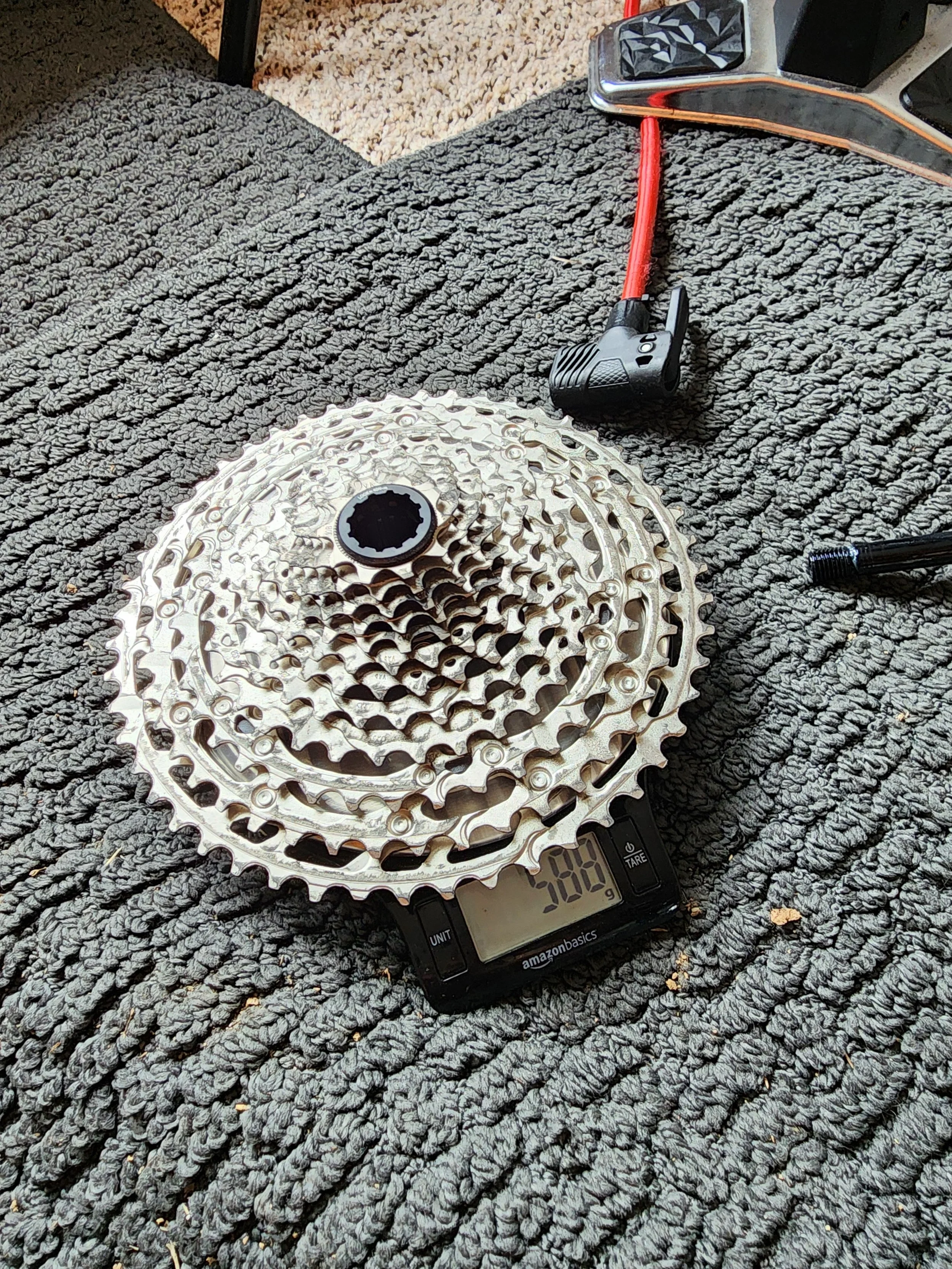 20250127_111921.jpg