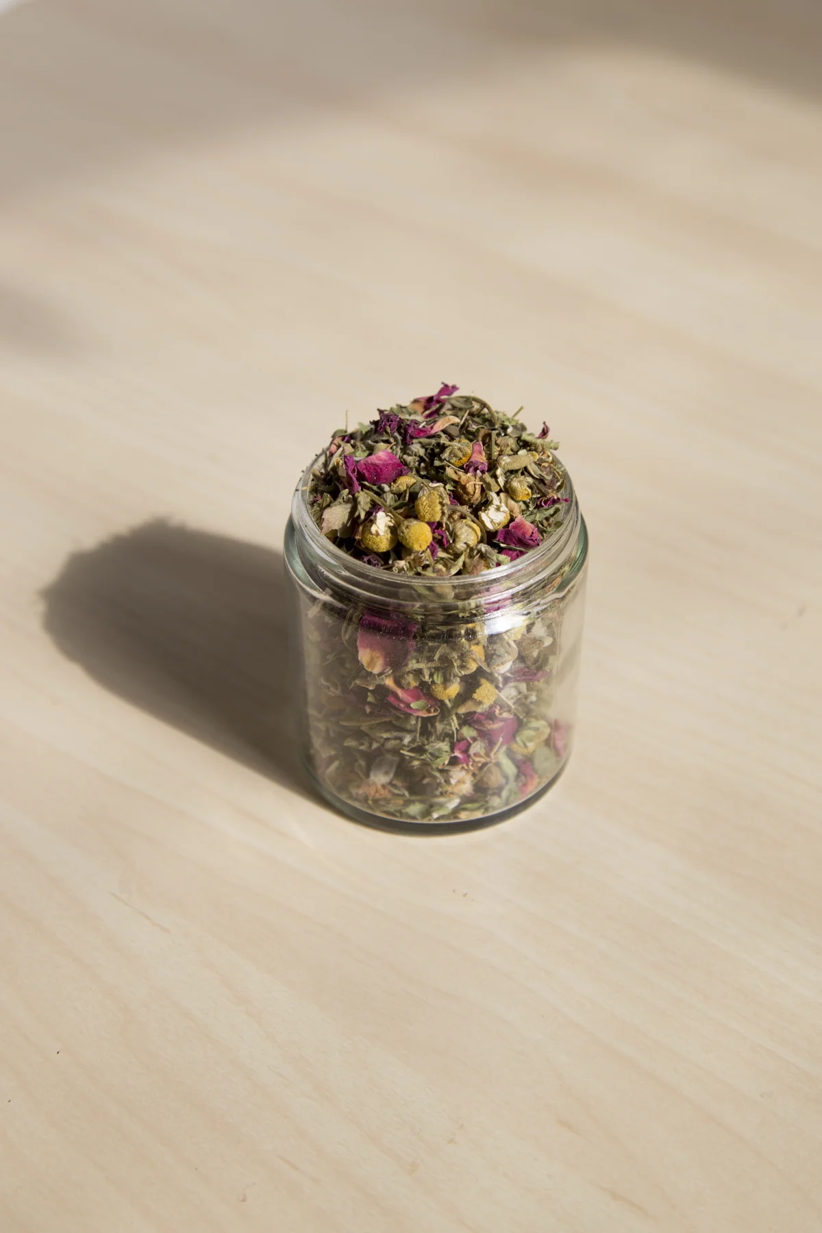 seedandboneWEB-5.jpg