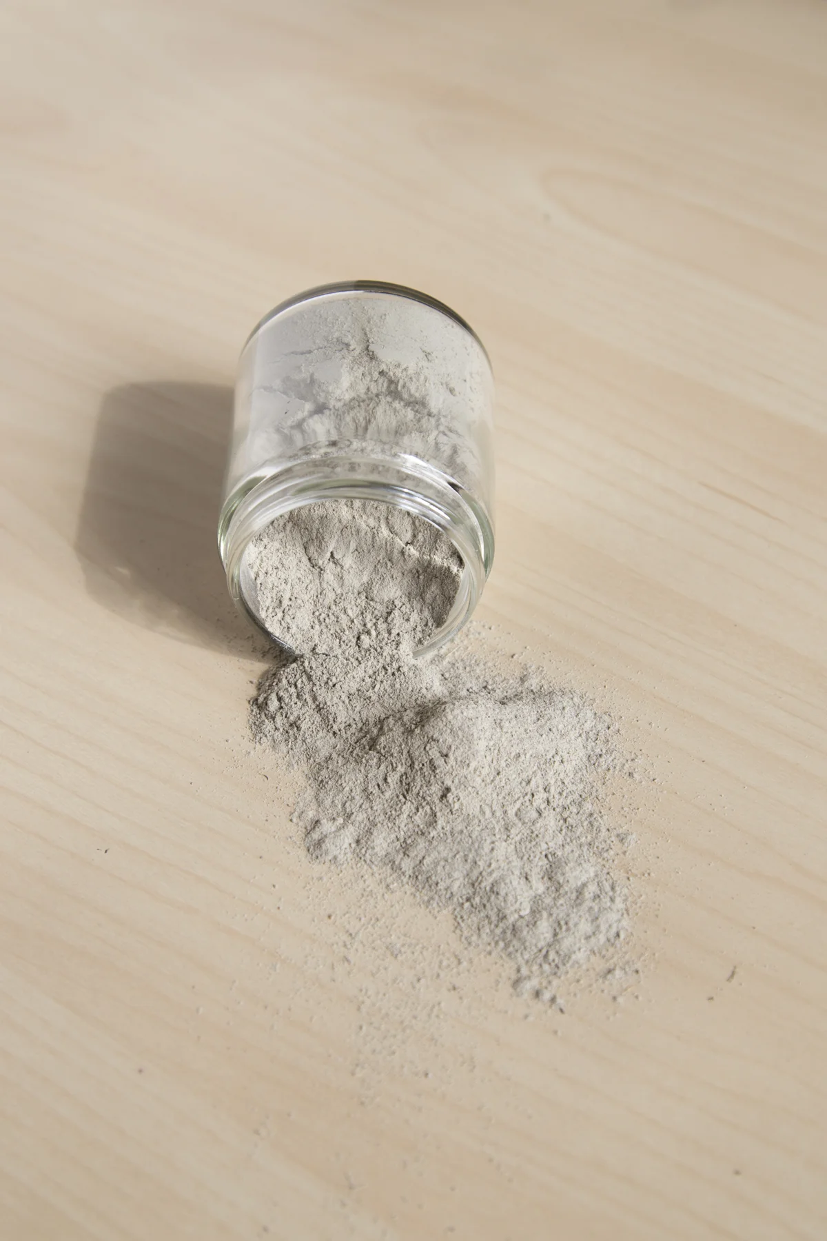 seedandboneWEB-9.jpg
