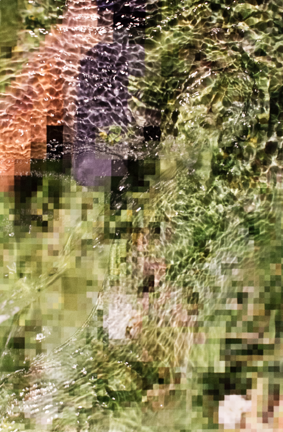 Screenshot 2026-03-12 at 11.36.56.png