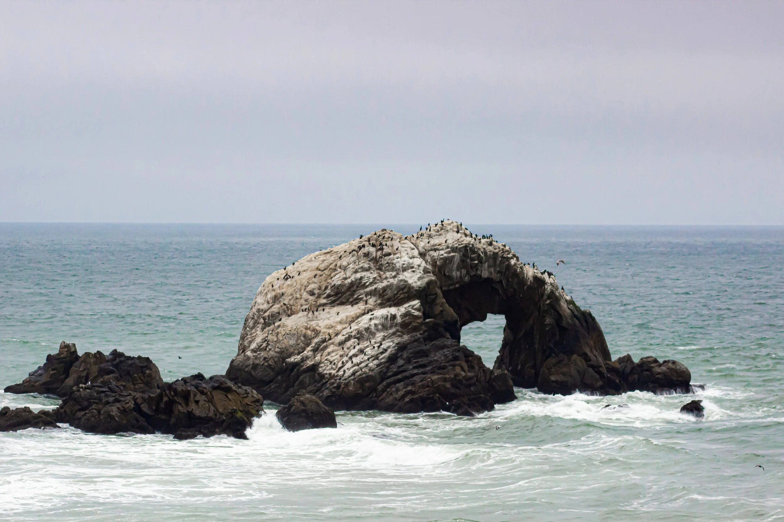 LANDSEND-6.jpg