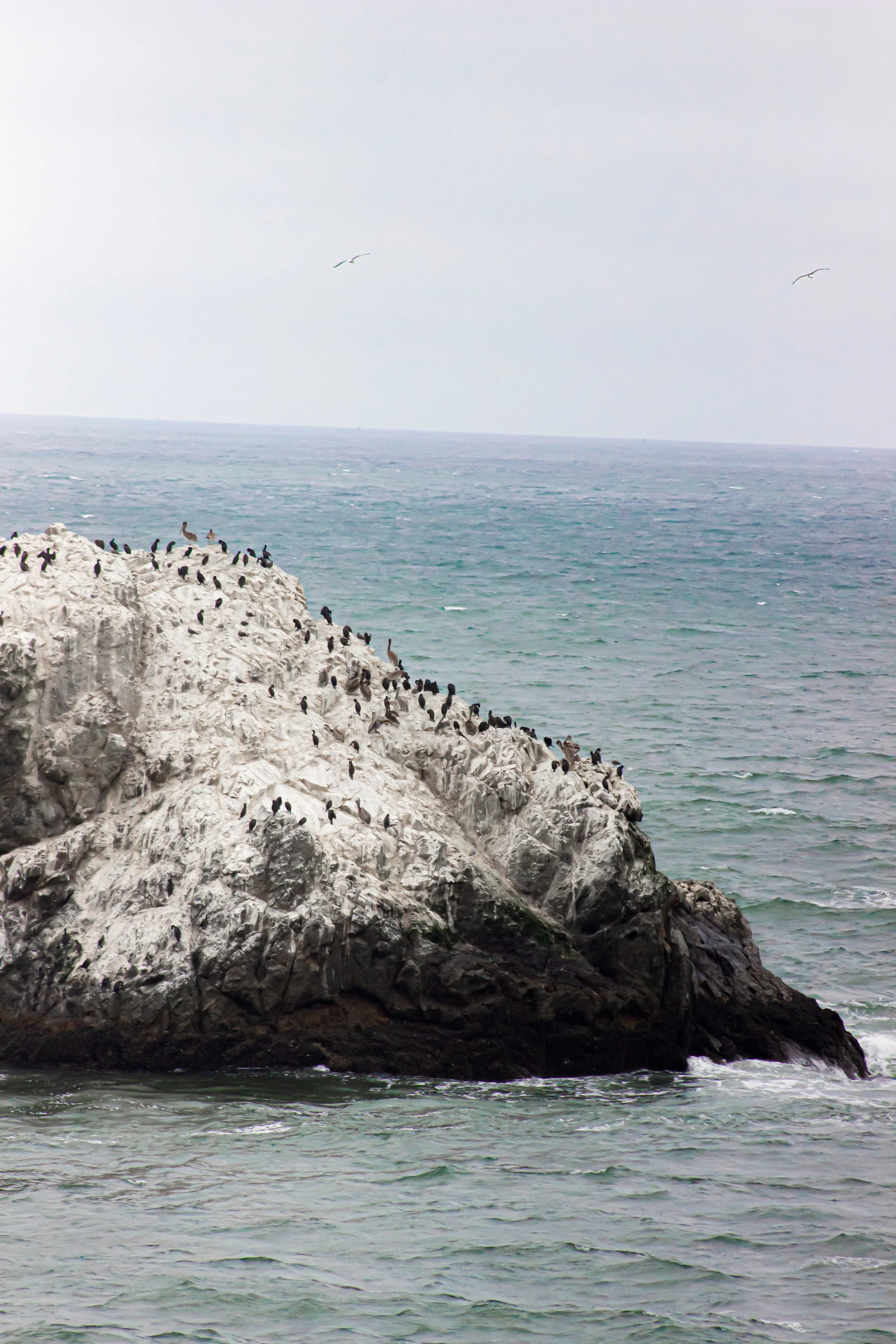 LANDSEND-9.jpg
