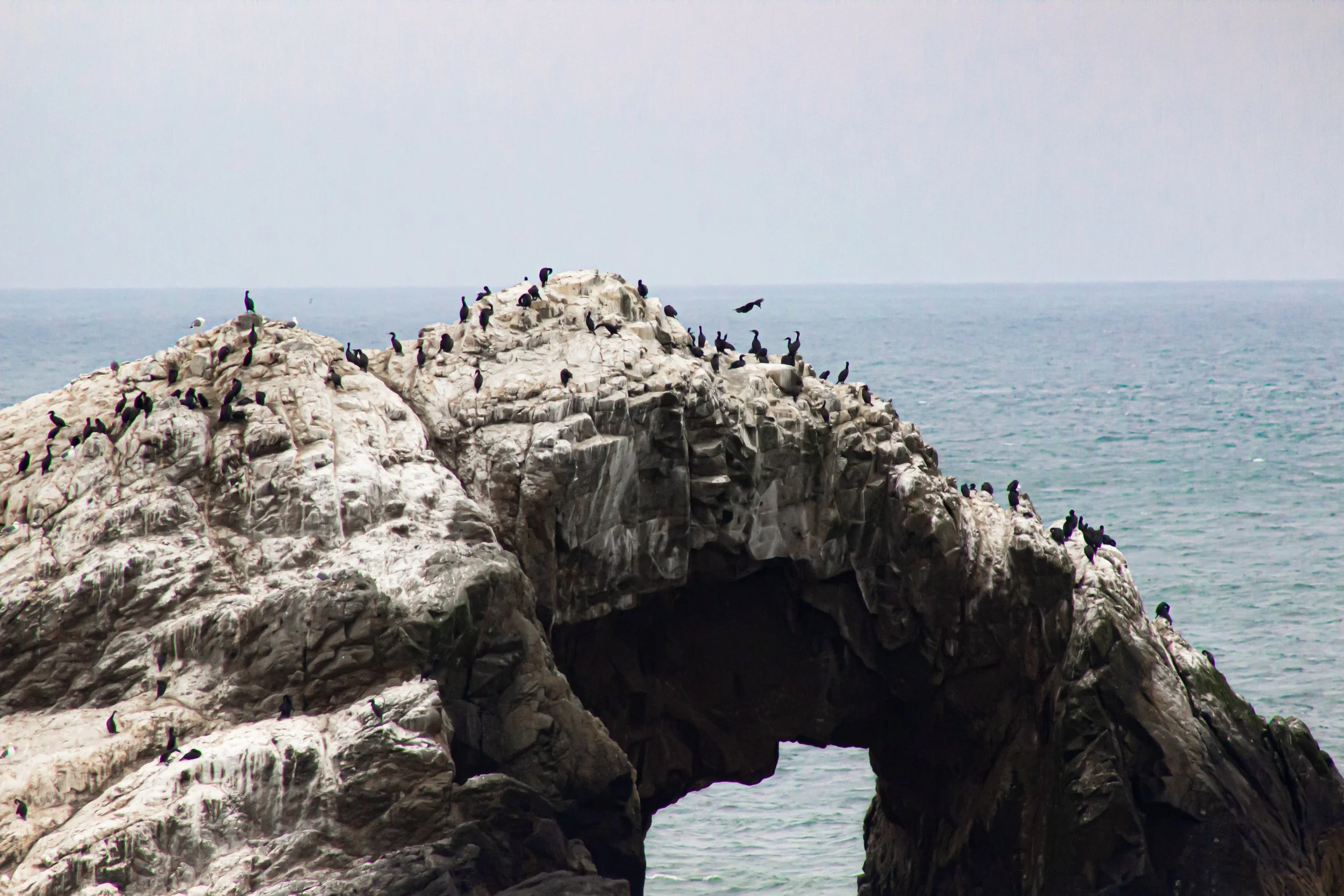 LANDSEND-12.jpg