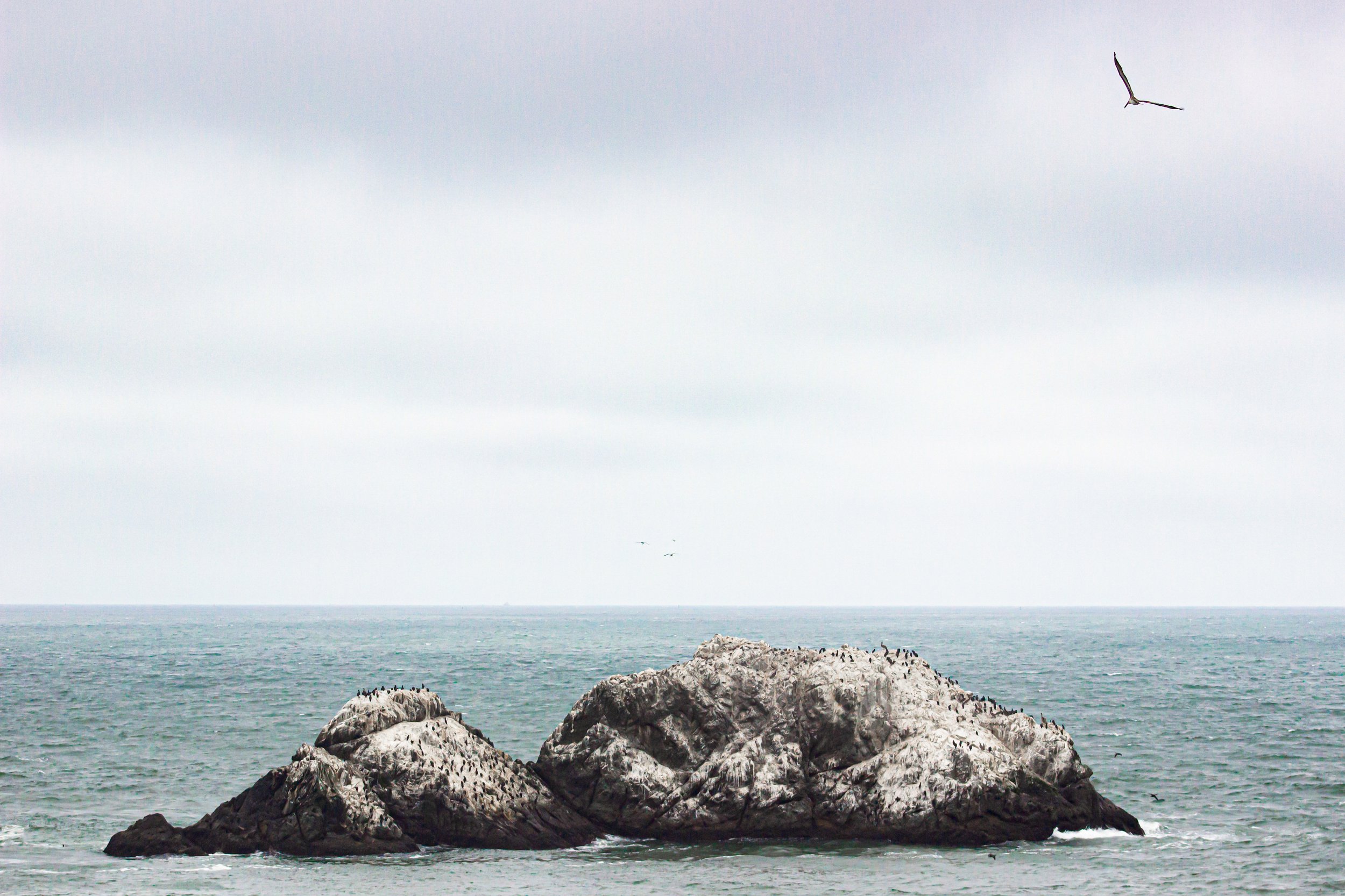 LANDSEND-18.jpg