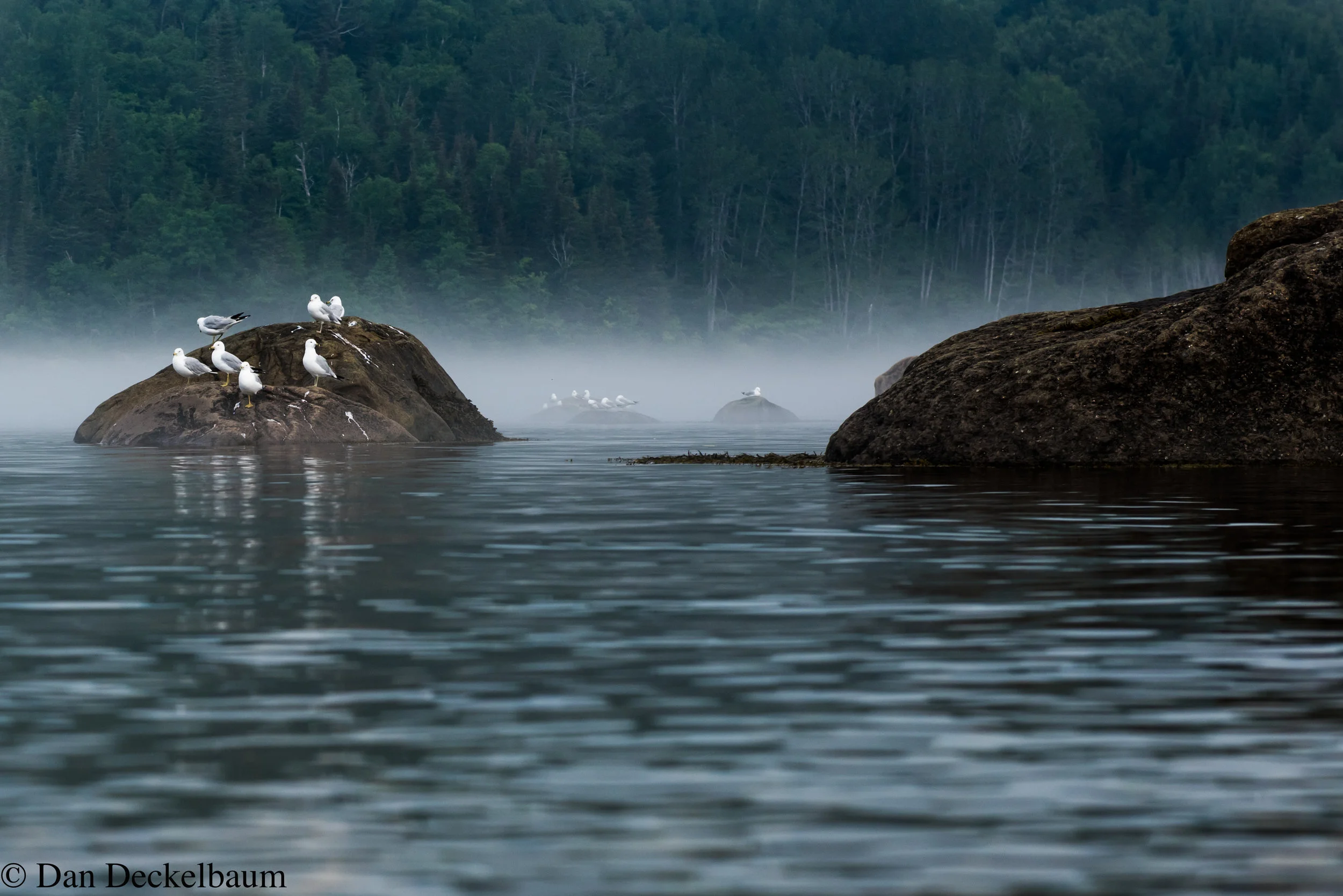 Tadoussac July 2016 part 2-0630.jpg