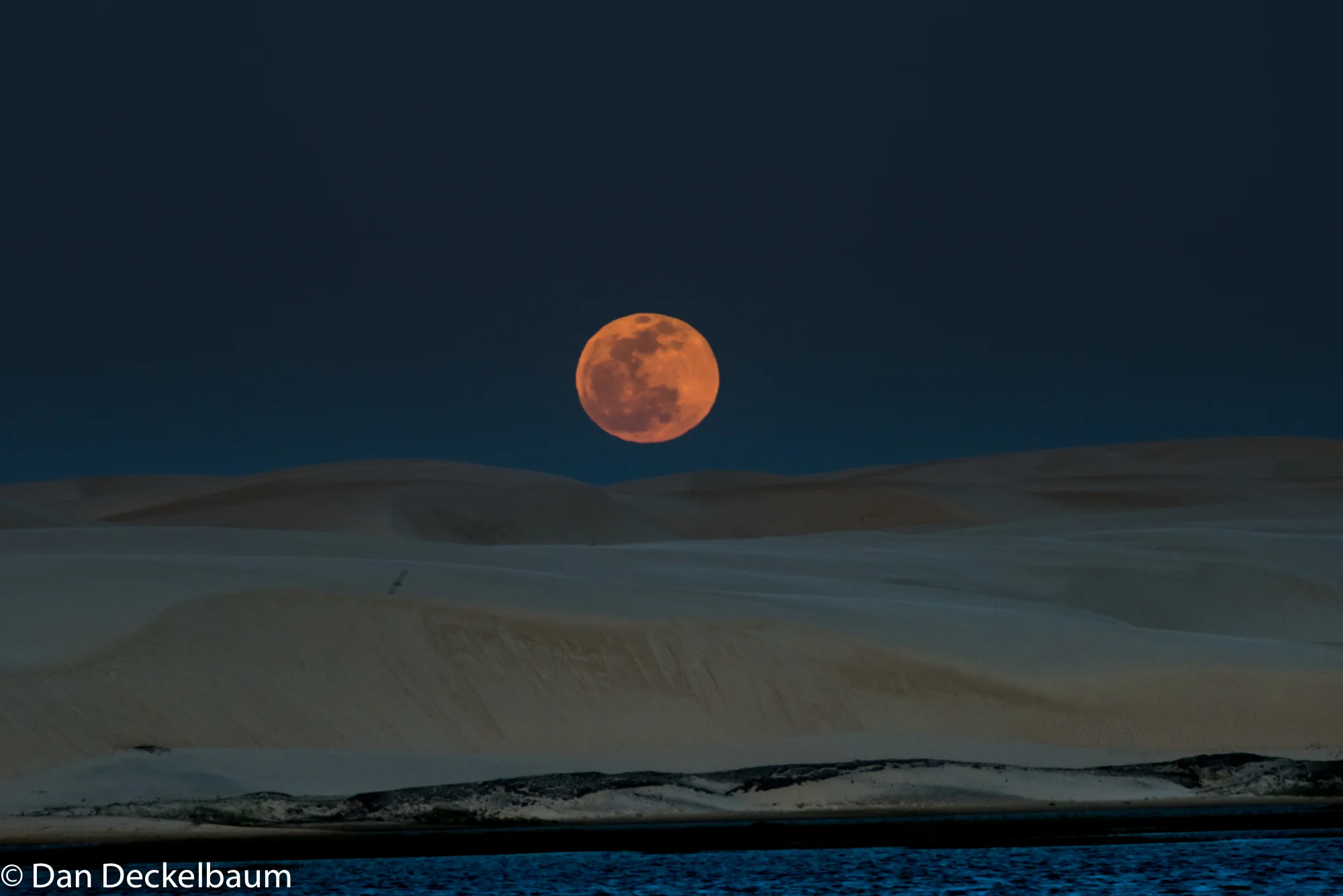 Brasil2017porcinho (1 of 1).jpg