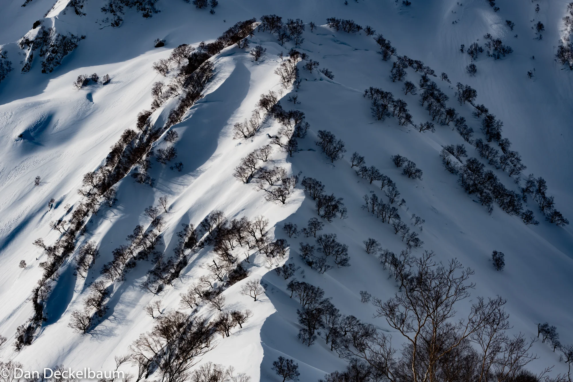 Japan skiing-3-2.jpg