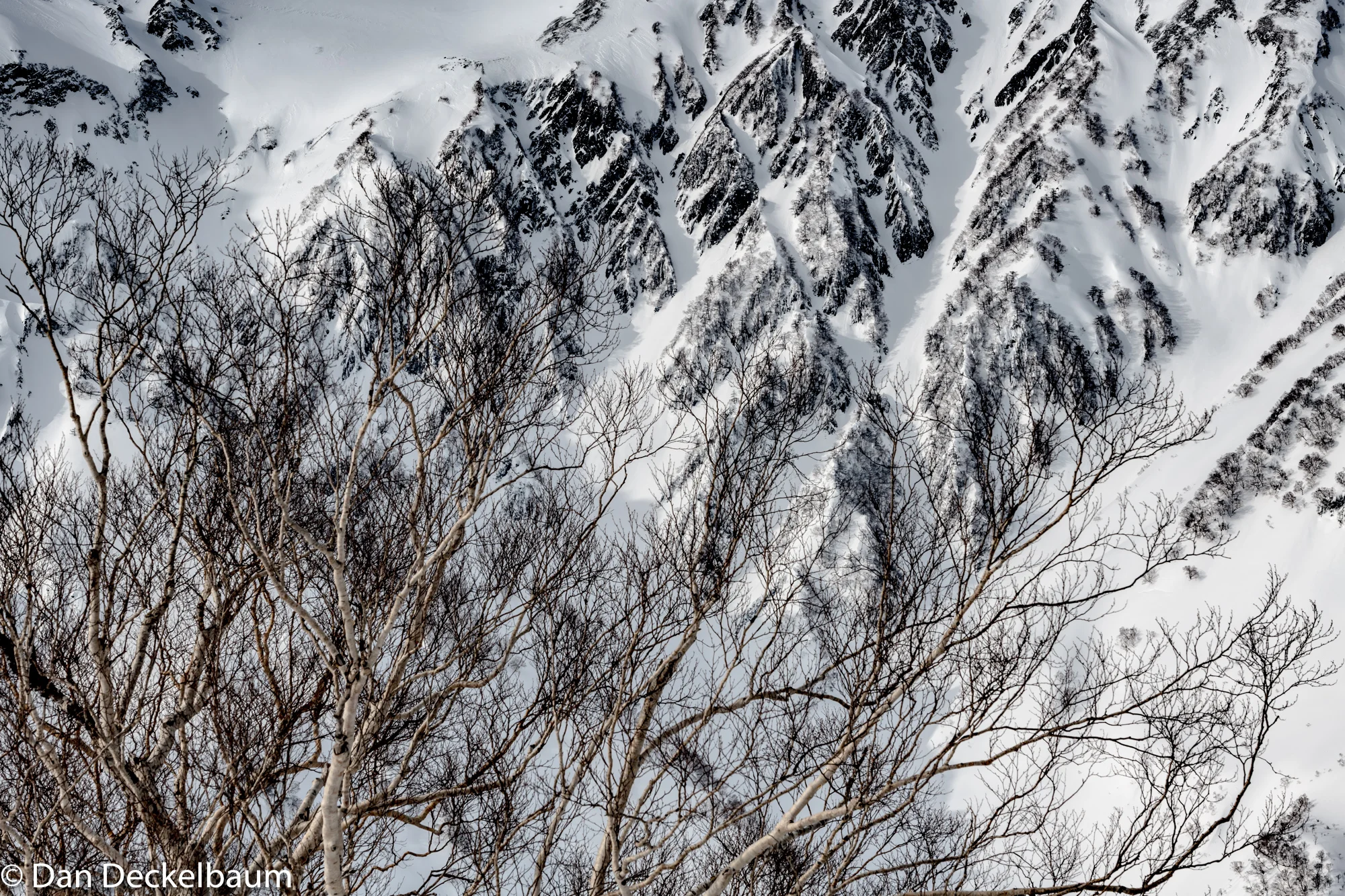 Japan skiing-5-2.jpg