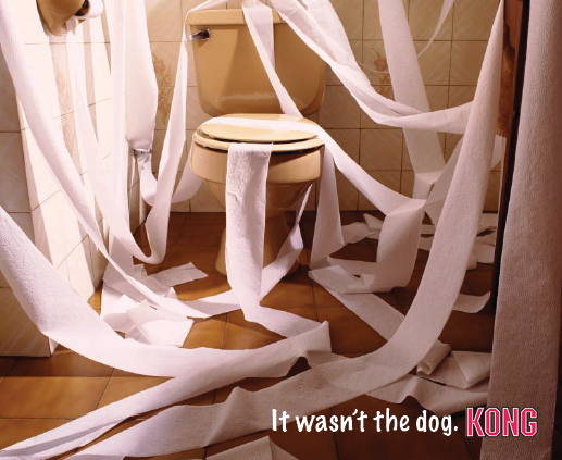 Kong-print1-e1482875241835.png
