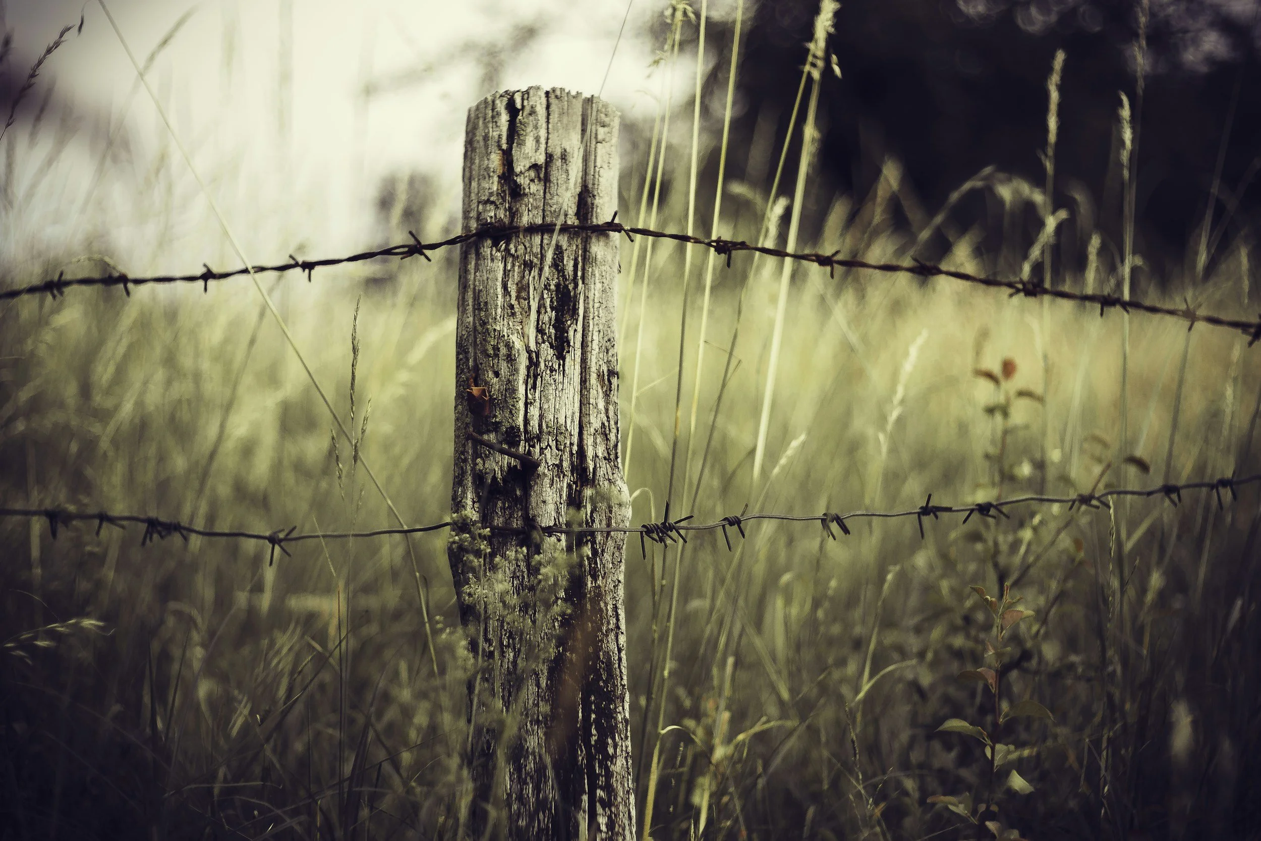 The Highly Sensitive Person and Boundaries